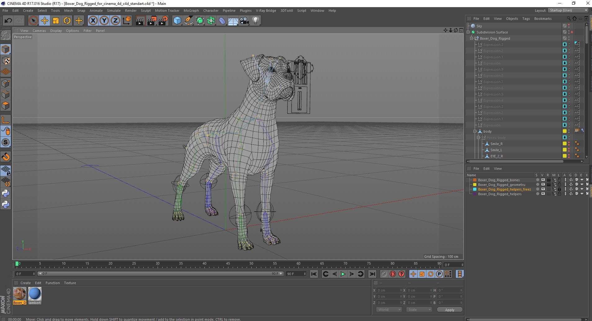 3D model Boxer Dog Rigged for Cinema 4D