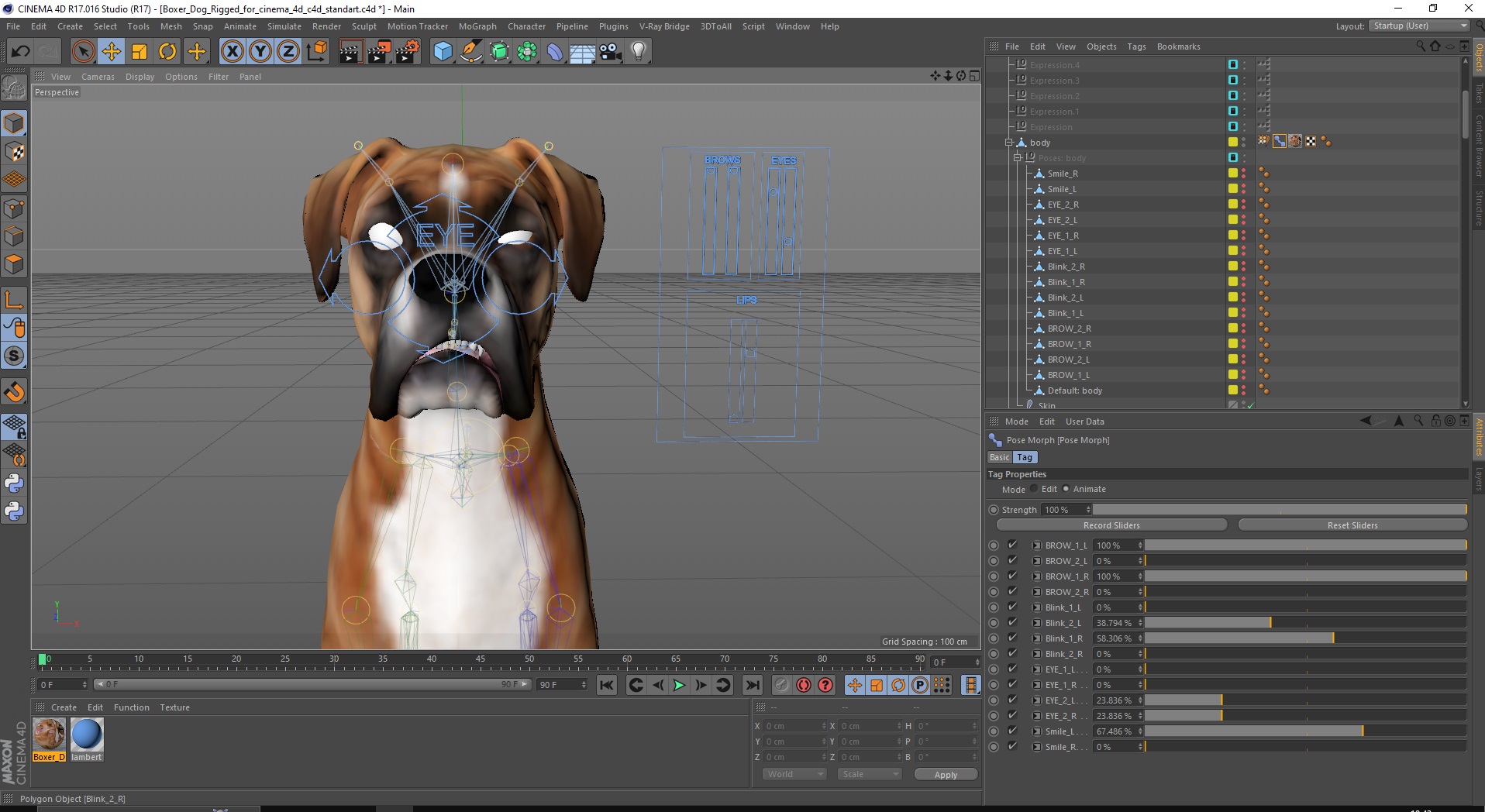 3D model Boxer Dog Rigged for Cinema 4D