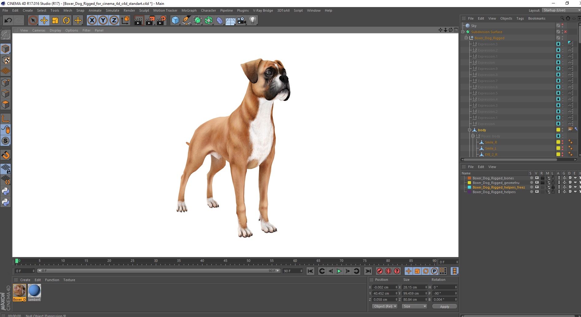 3D model Boxer Dog Rigged for Cinema 4D