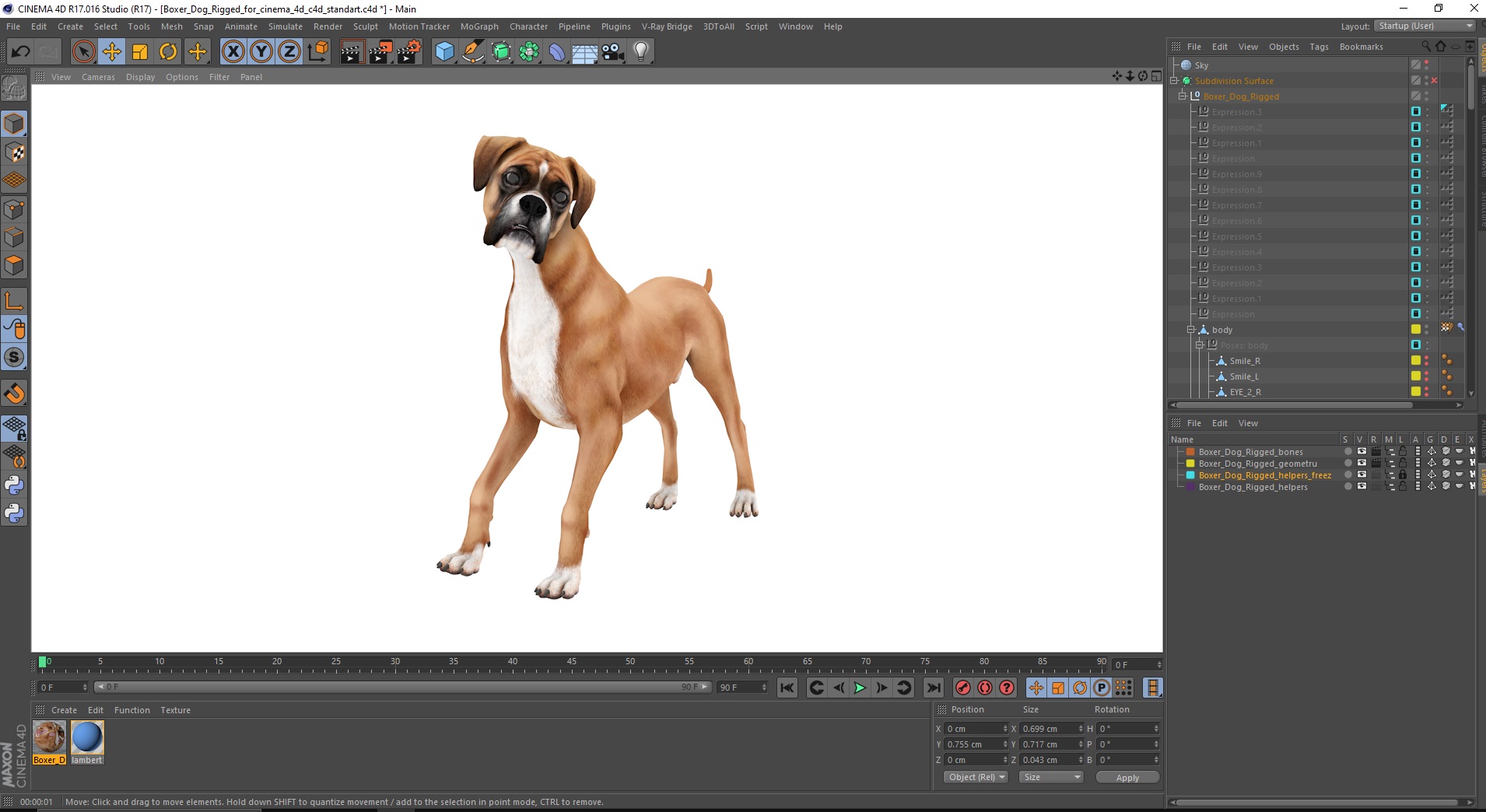 3D model Boxer Dog Rigged for Cinema 4D
