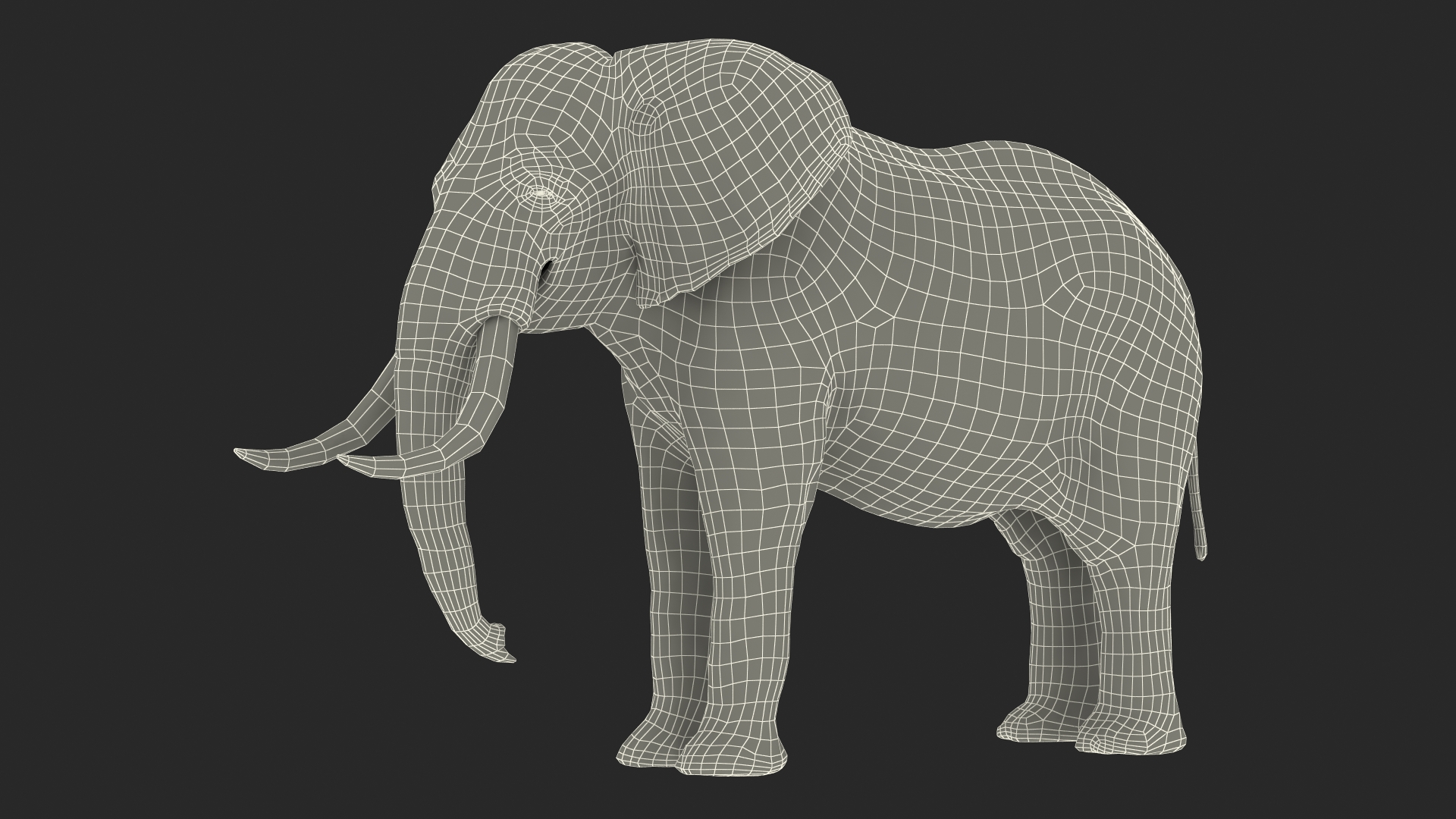 3D Animated Elephant Waiting Fur Rigged