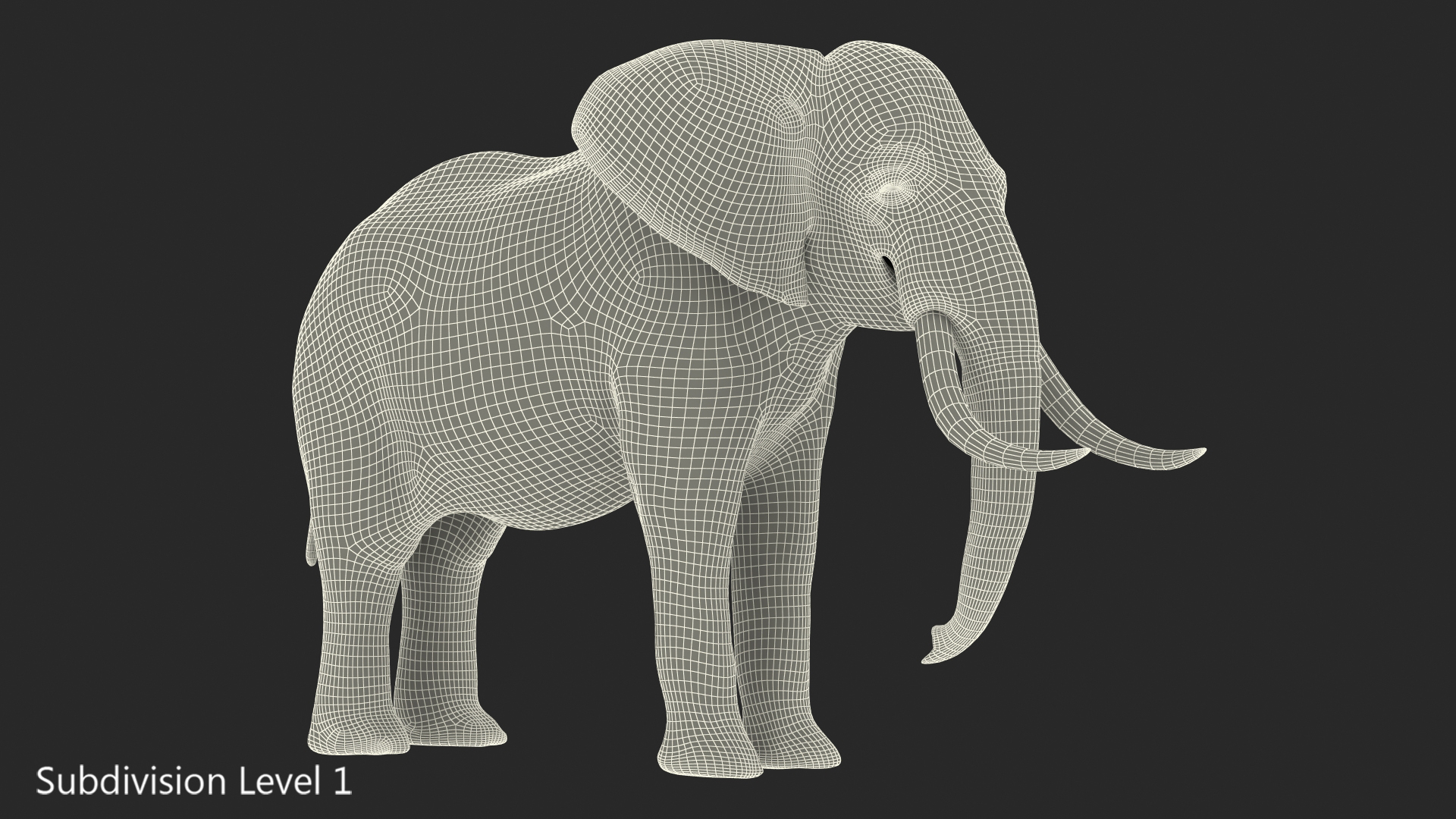 3D Animated Elephant Waiting Fur Rigged