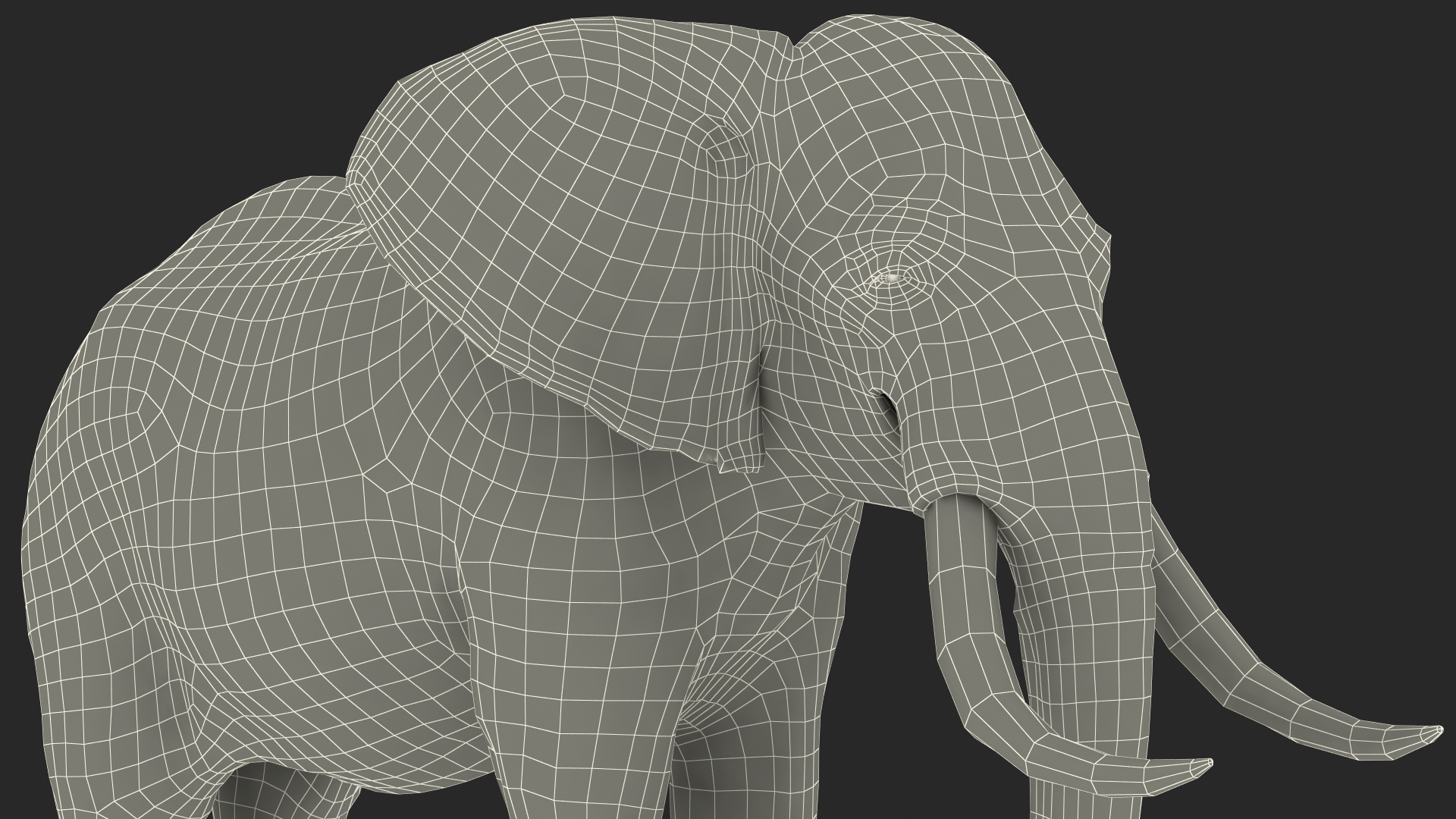 3D Animated Elephant Waiting Fur Rigged