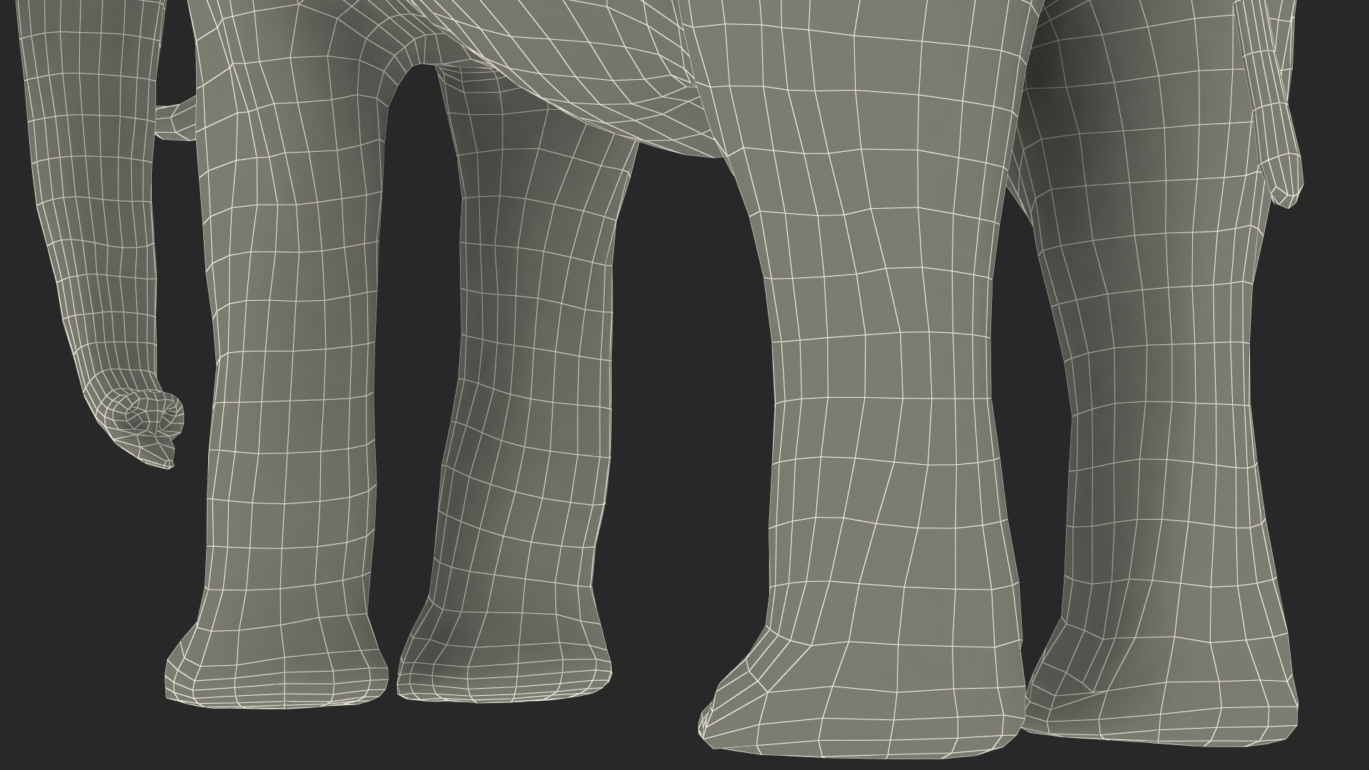 3D Animated Elephant Waiting Fur Rigged