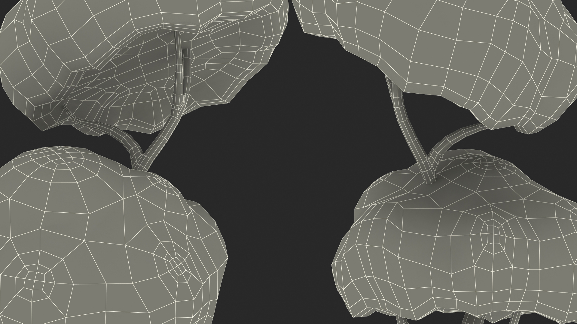 3D Cartoon Tree Two Branches Simple Coloring