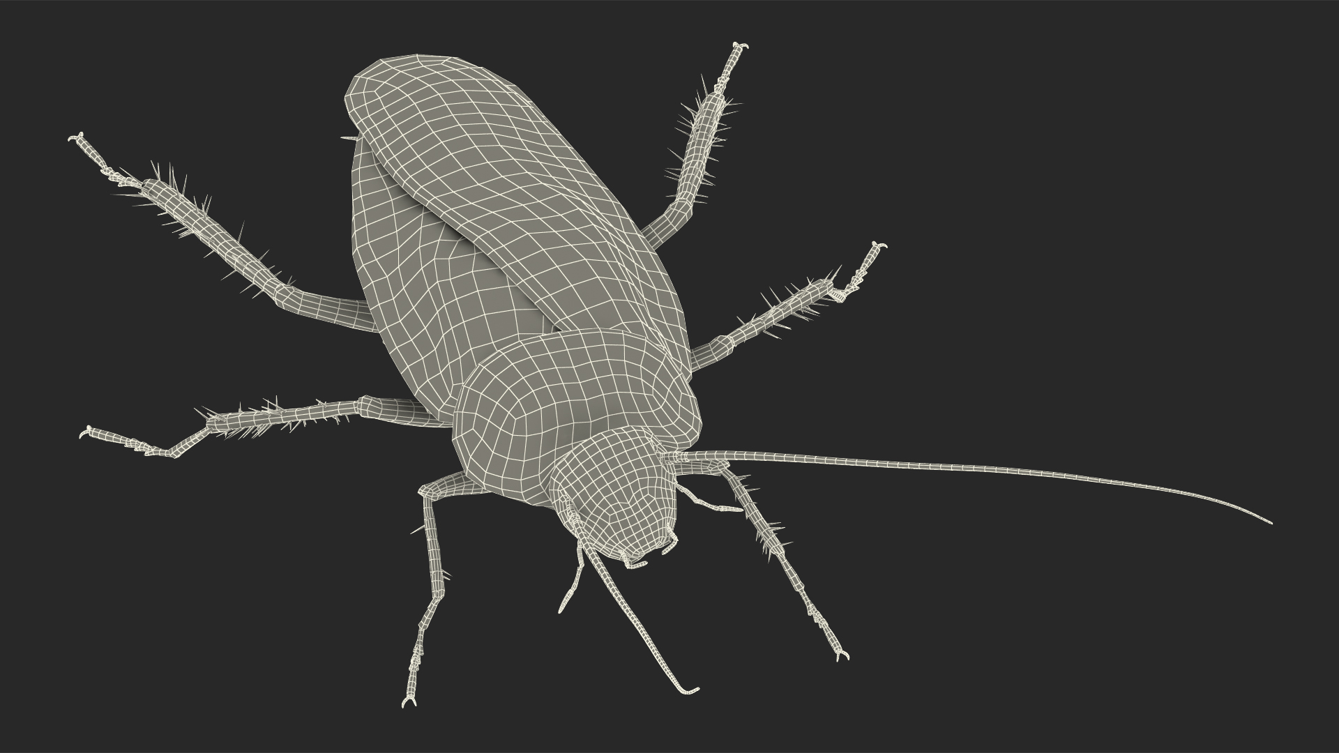 Animated Cockroach Spinning Rigged 3D model