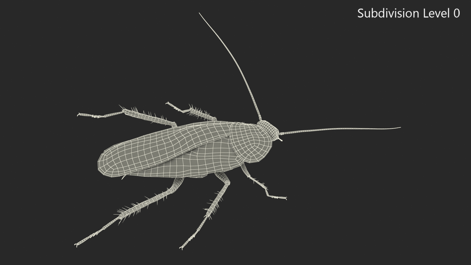 Animated Cockroach Spinning Rigged 3D model