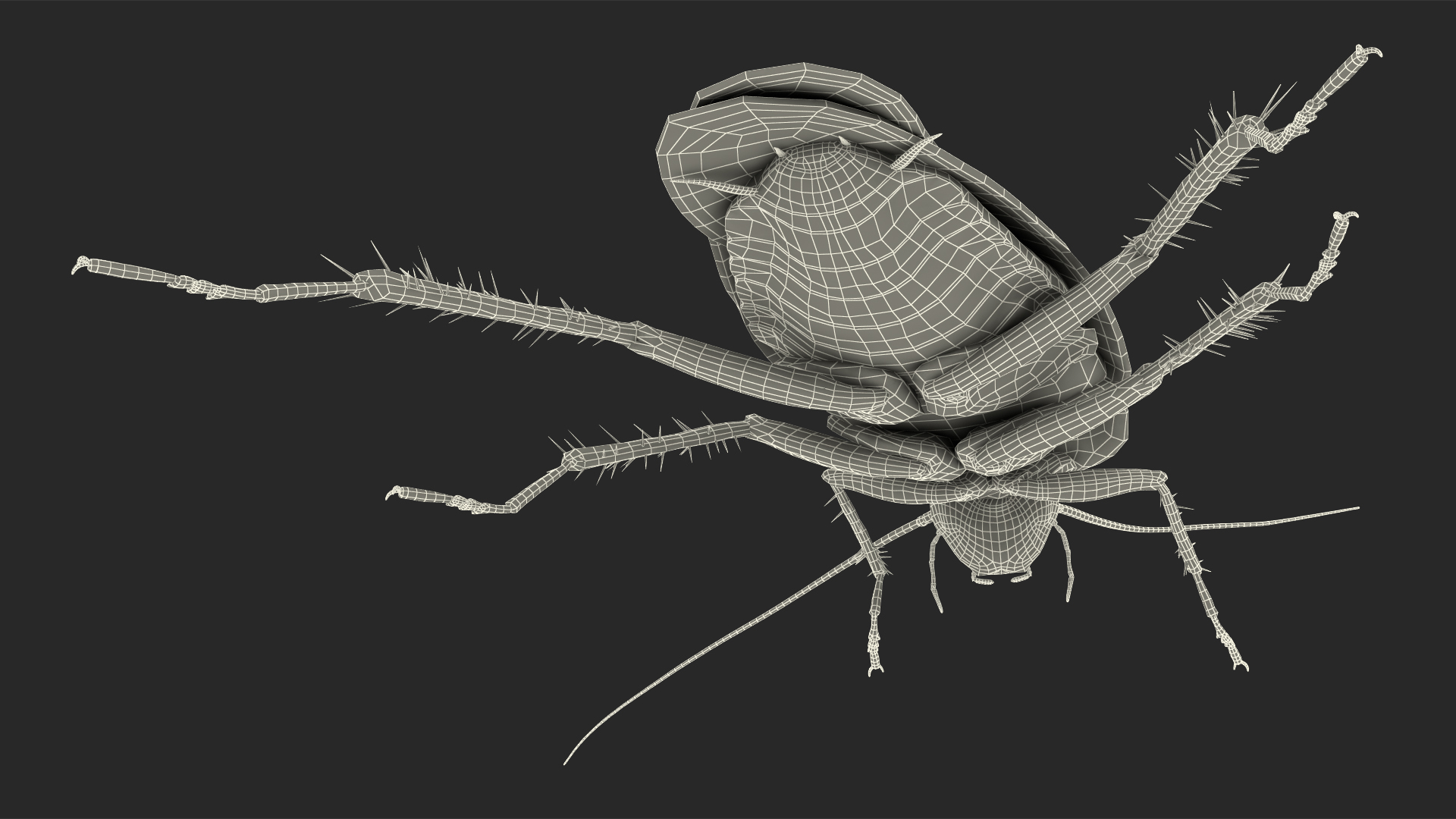 Animated Cockroach Spinning Rigged 3D model