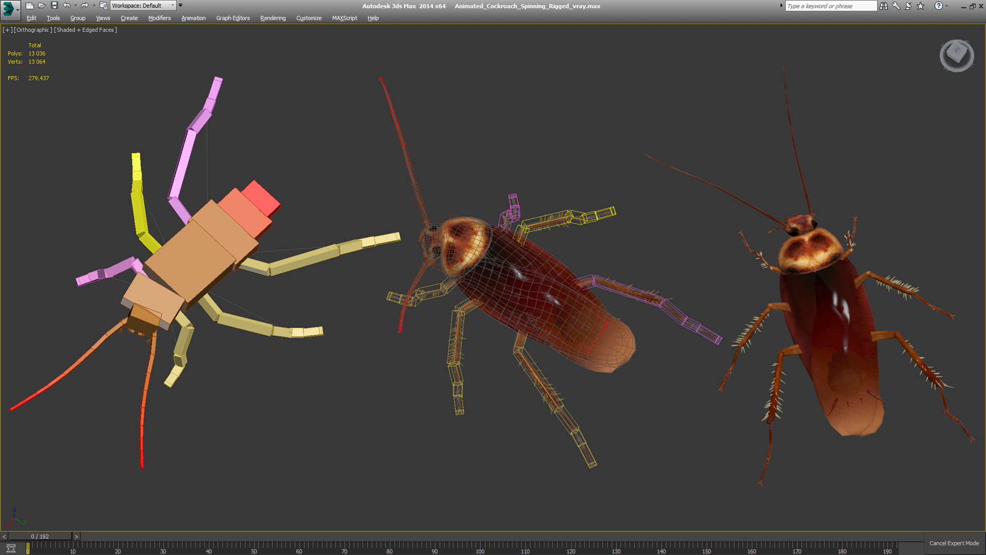Animated Cockroach Spinning Rigged 3D model