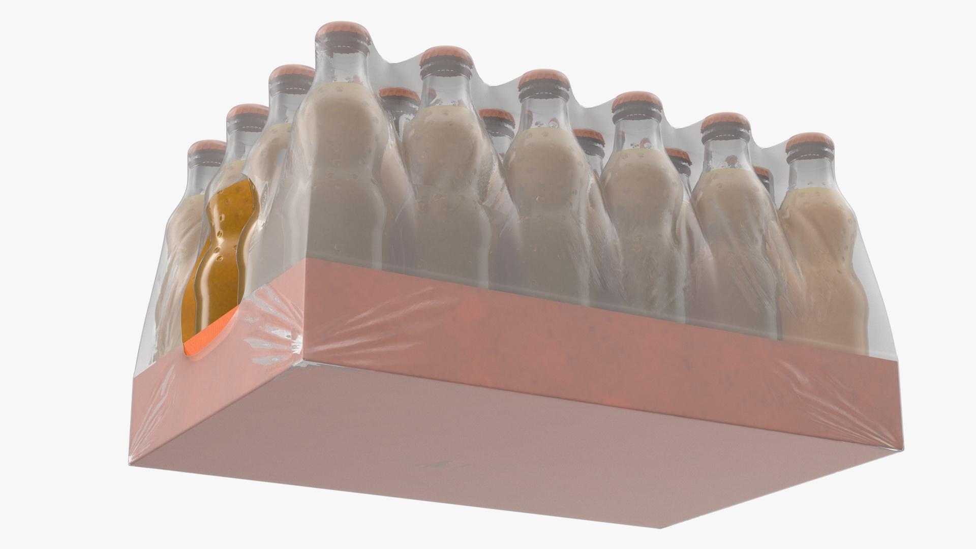 24 Orange Glass Bottle Case 3D