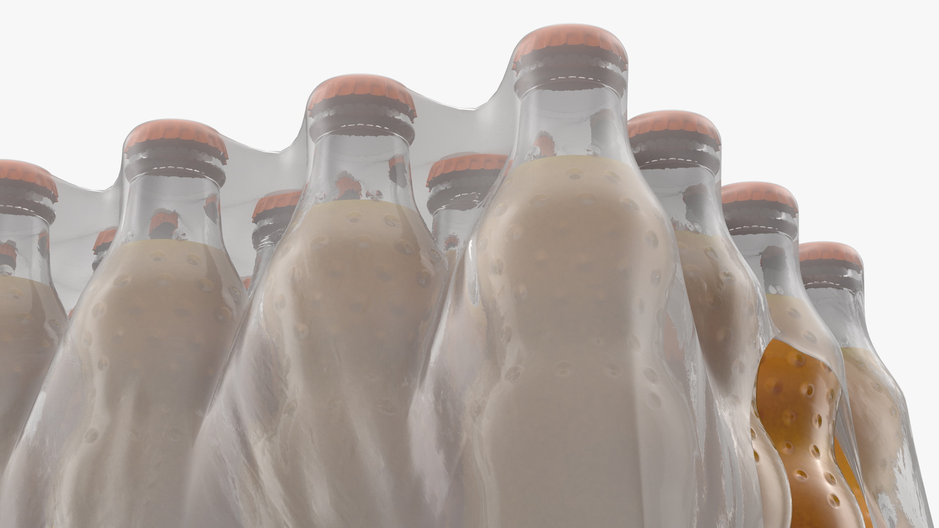 24 Orange Glass Bottle Case 3D
