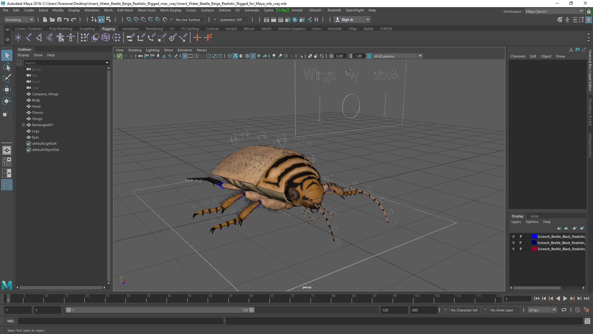3D Insect Water Beetle Beige Realistic Rigged for Maya