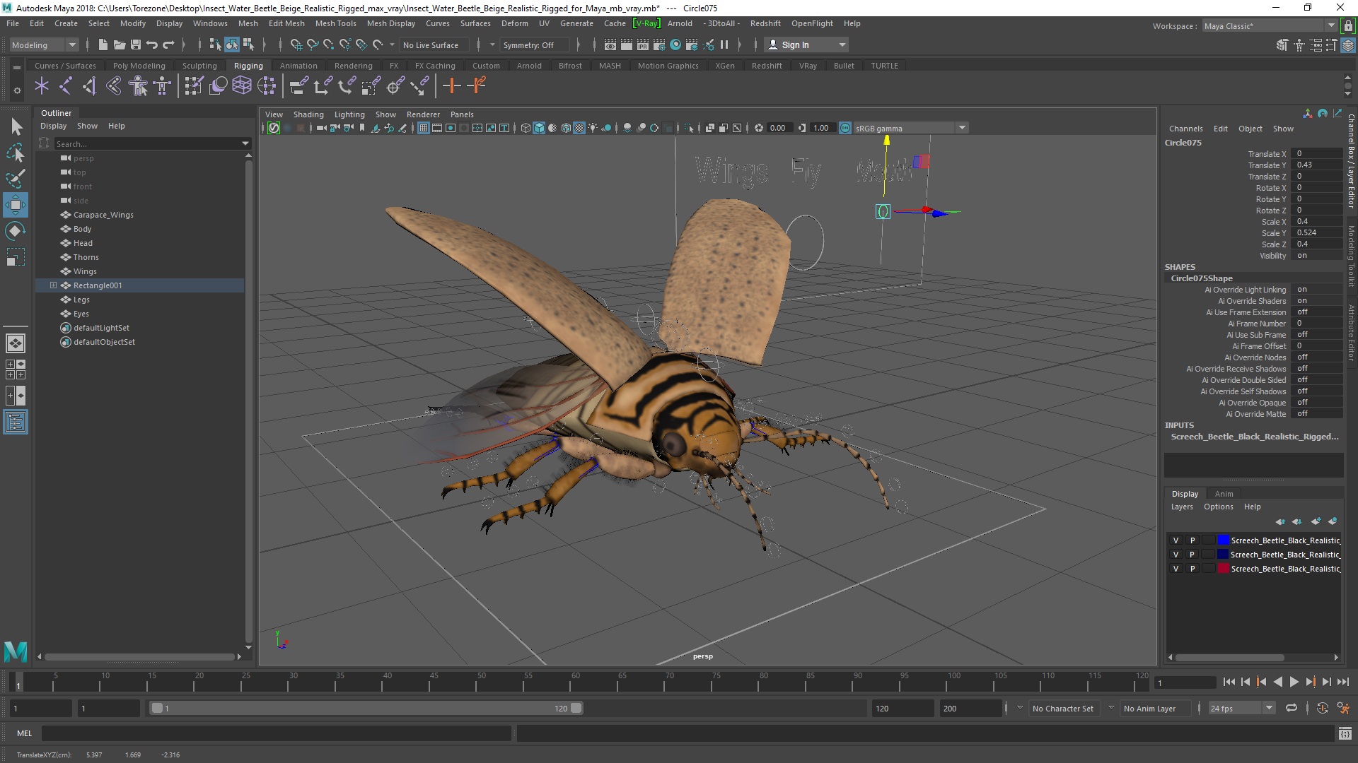 3D Insect Water Beetle Beige Realistic Rigged for Maya