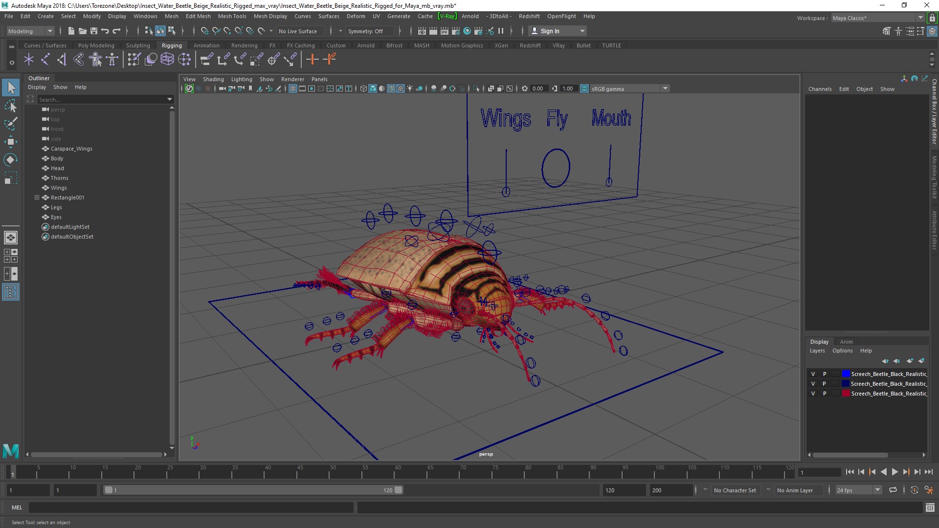 3D Insect Water Beetle Beige Realistic Rigged for Maya
