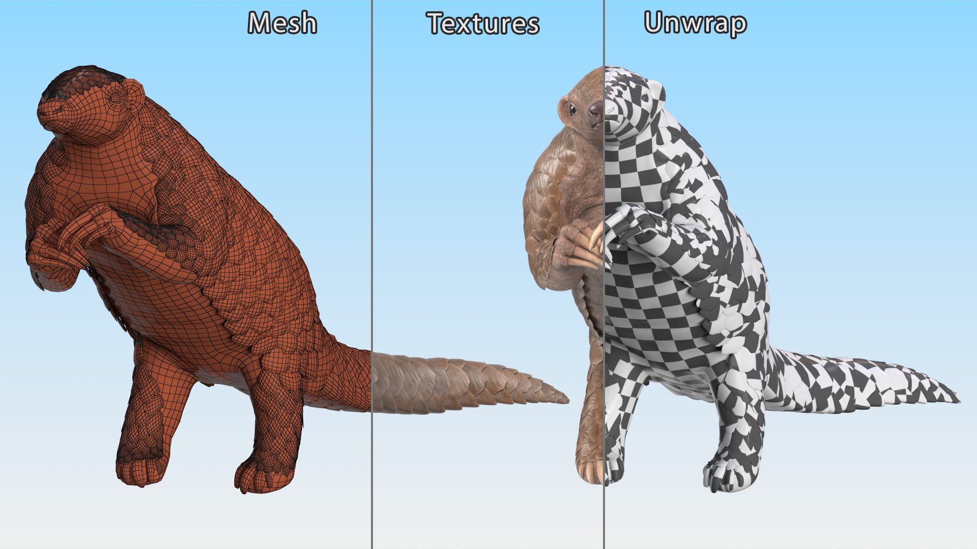 3D model Realistic Pangolin in Standing Pose