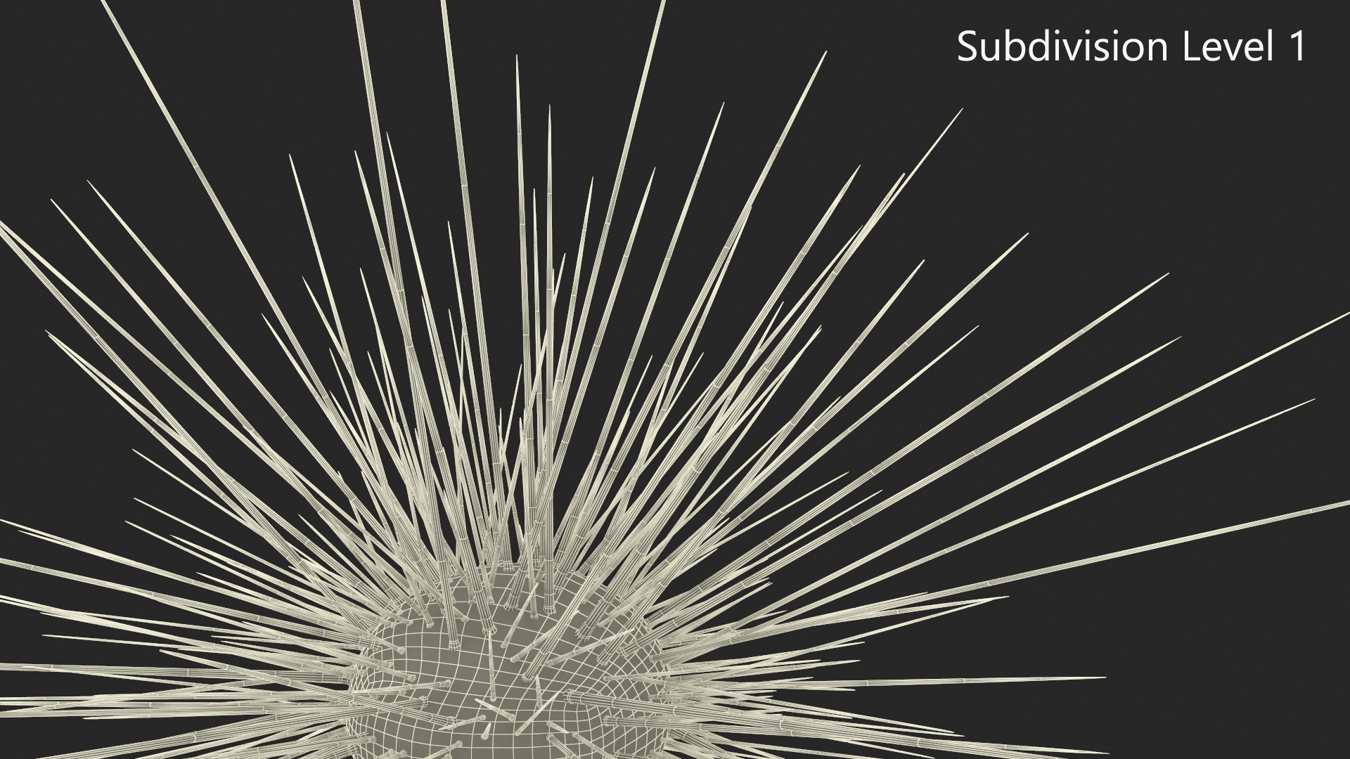 3D model Sea Urchin