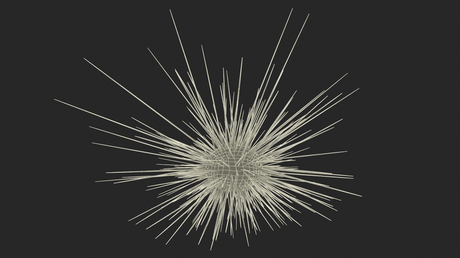 3D model Sea Urchin