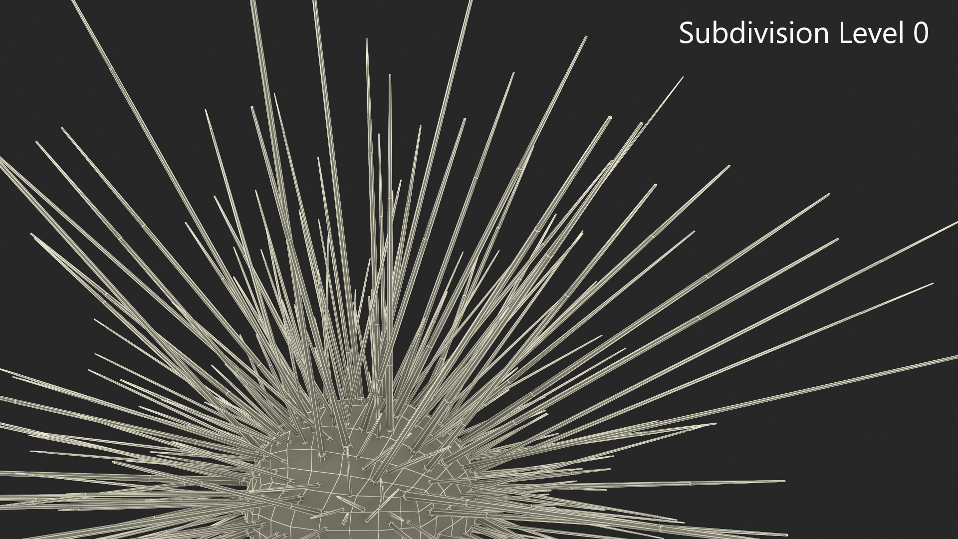 3D model Sea Urchin