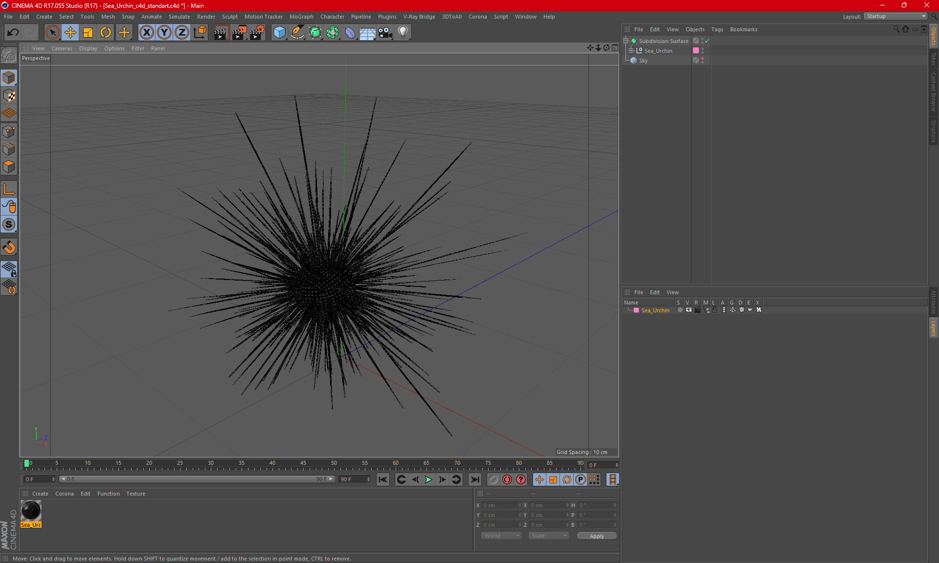 3D model Sea Urchin