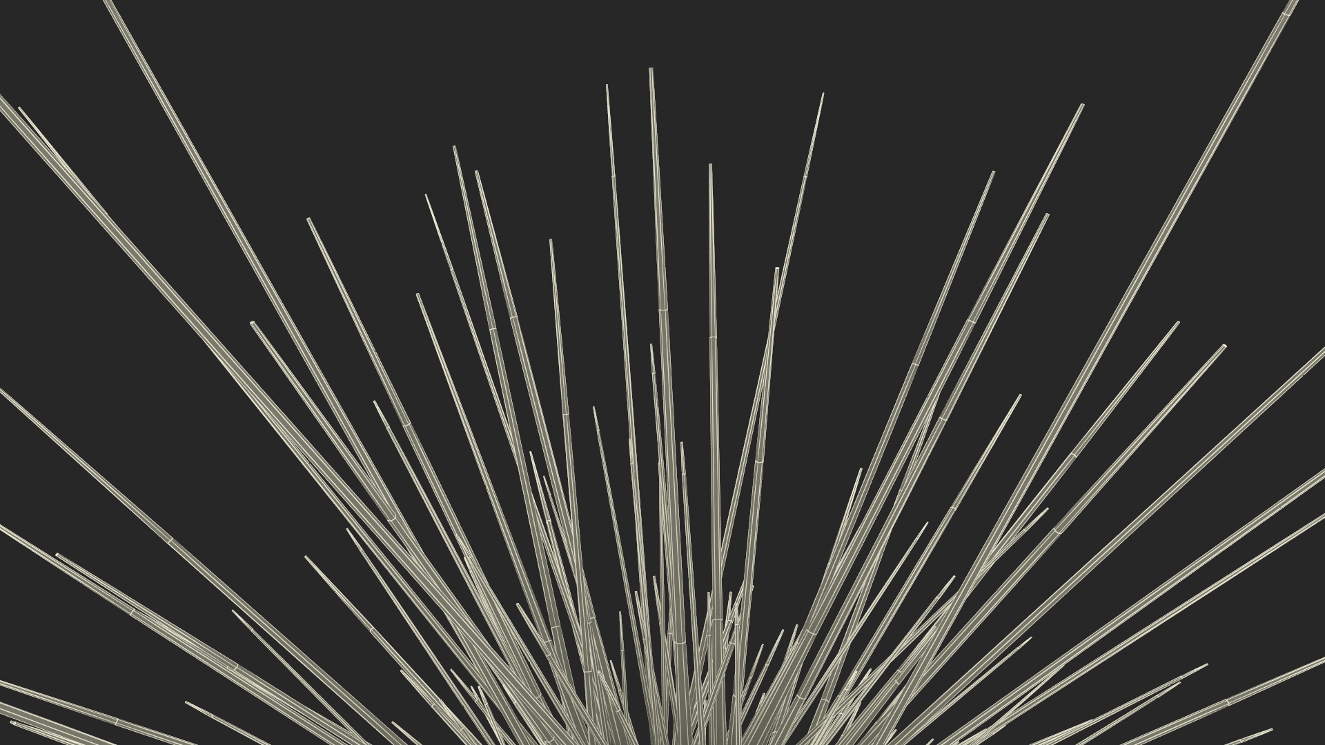 3D model Sea Urchin