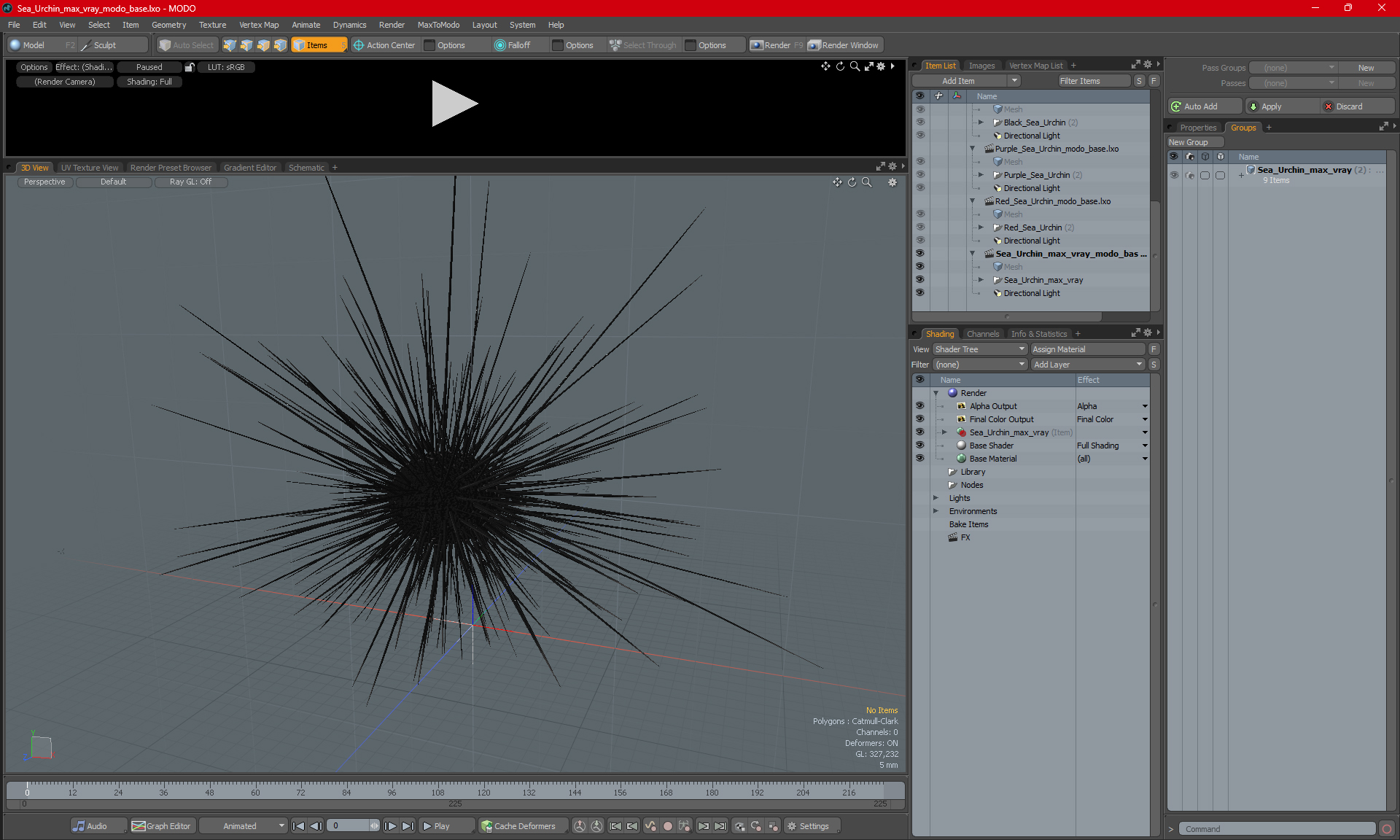 3D model Sea Urchin