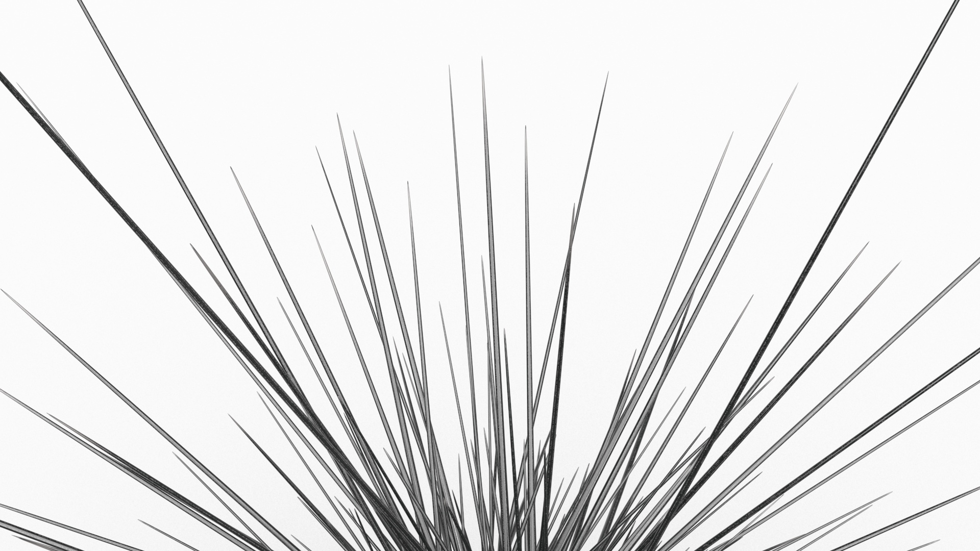 3D model Sea Urchin