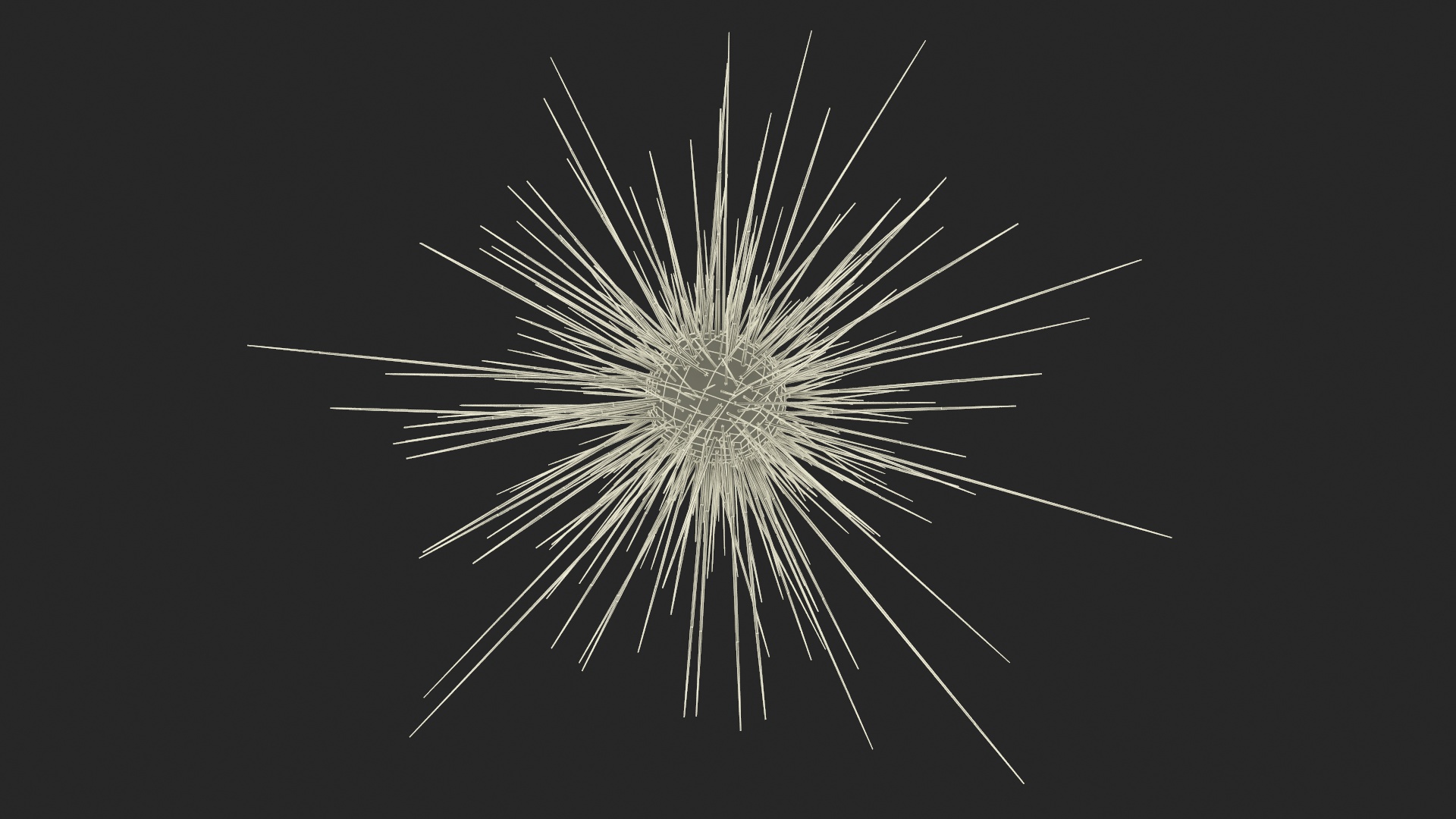 3D model Sea Urchin