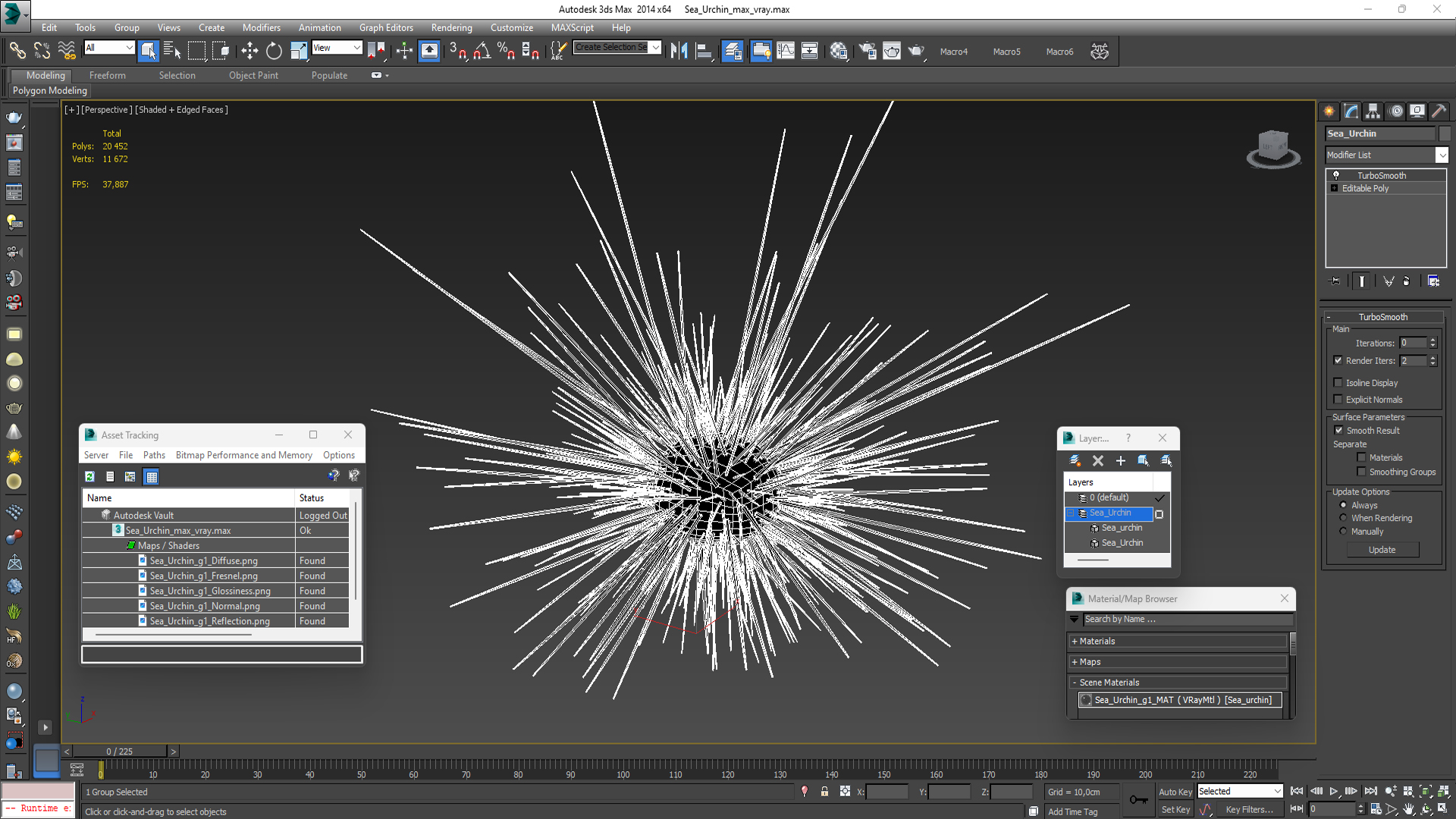 3D model Sea Urchin