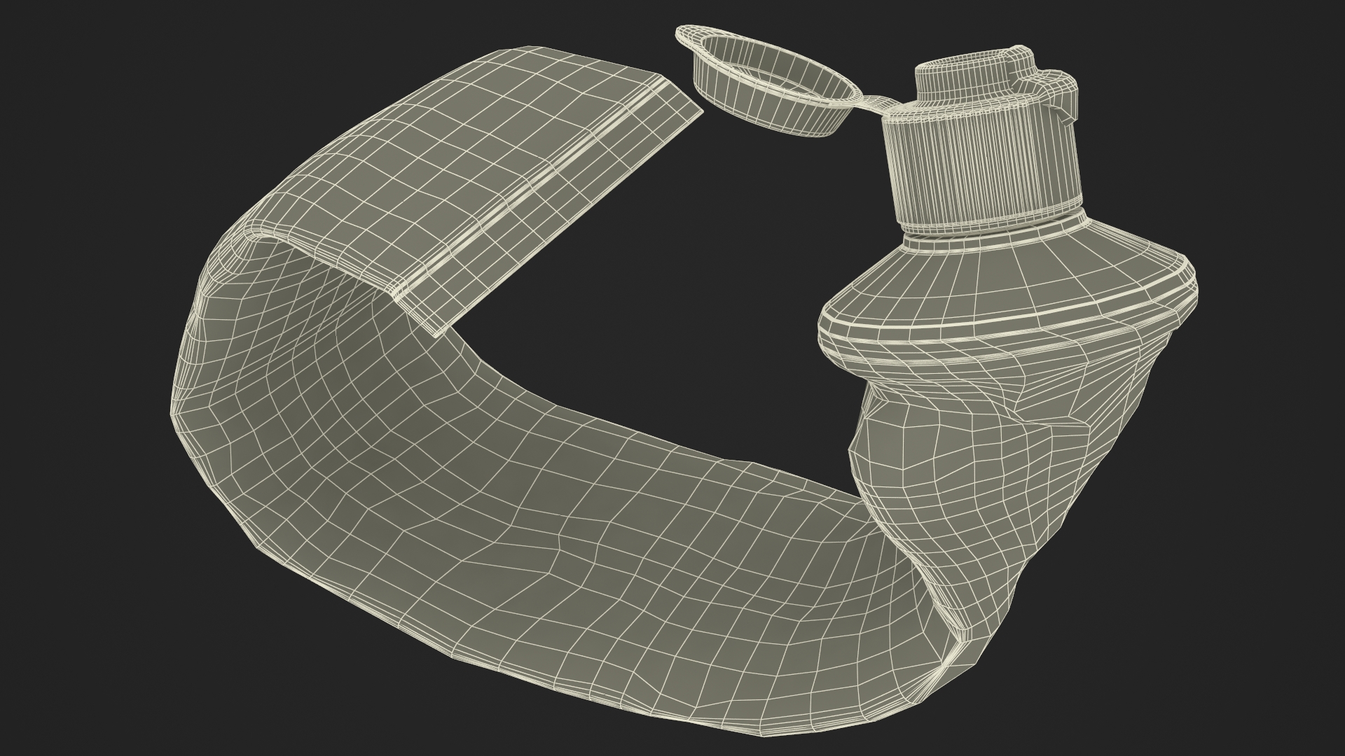 Finished Toothpaste Tube 3D model