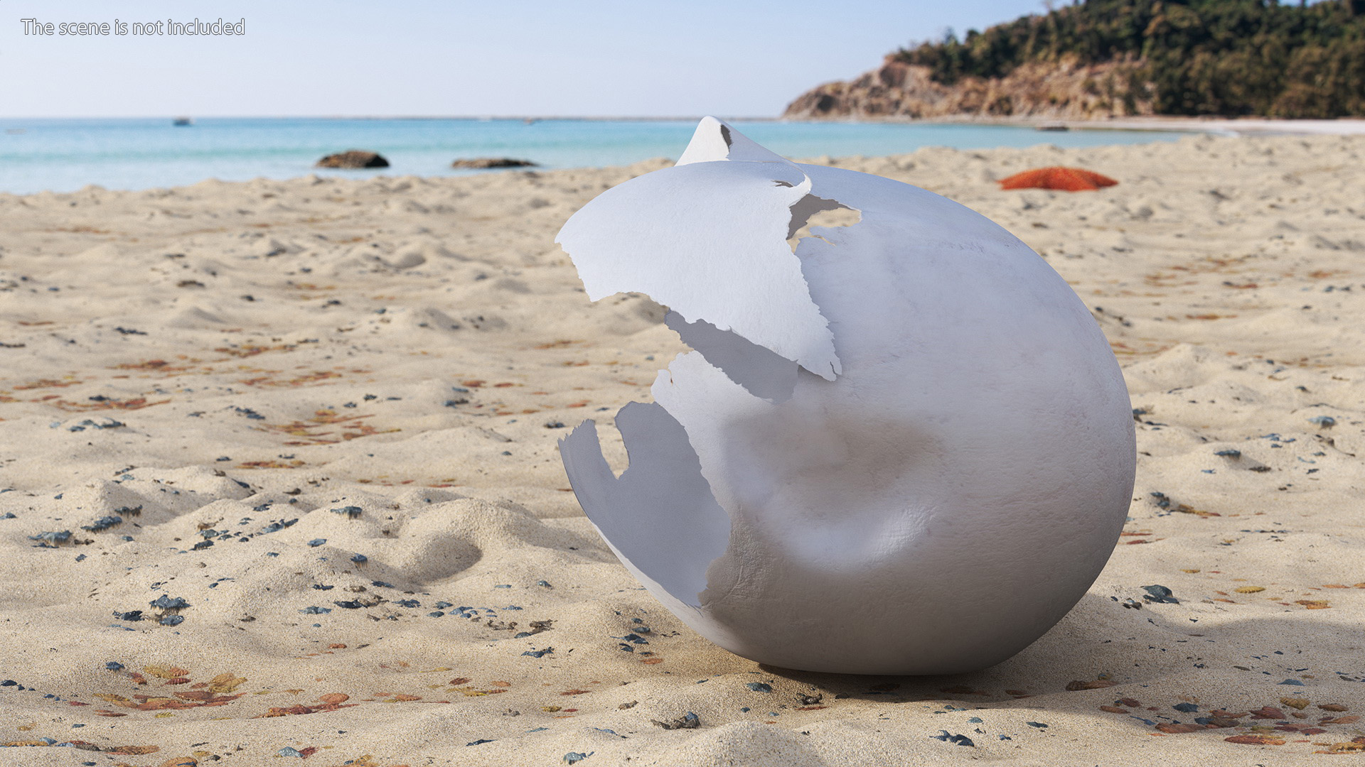 3D Cracked Turtle Egg model