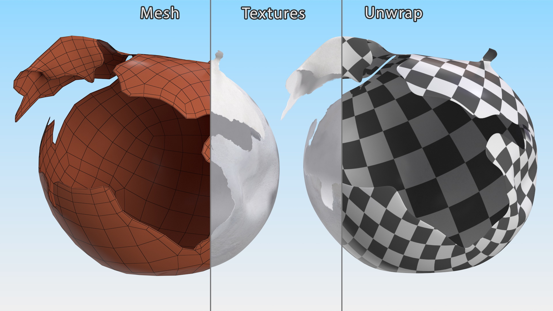 3D Cracked Turtle Egg model