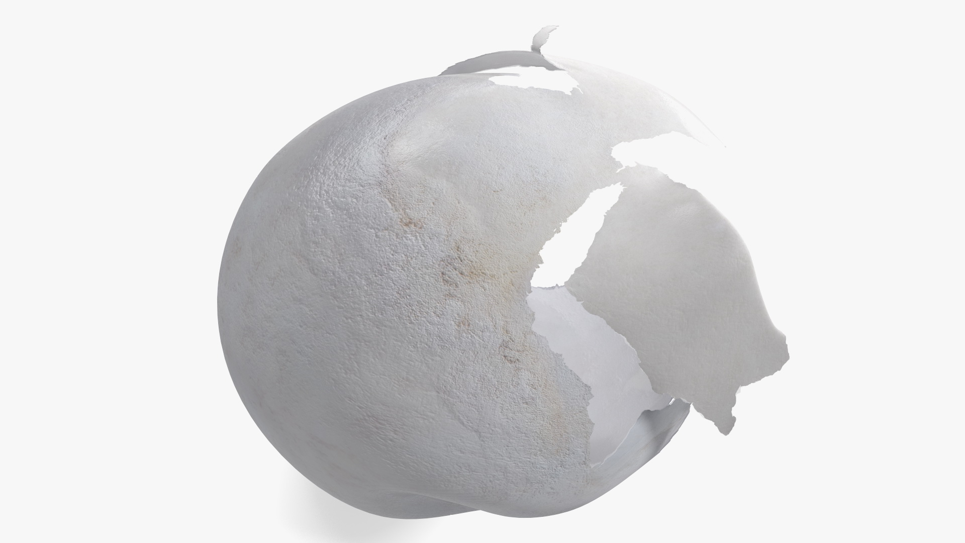 3D Cracked Turtle Egg model