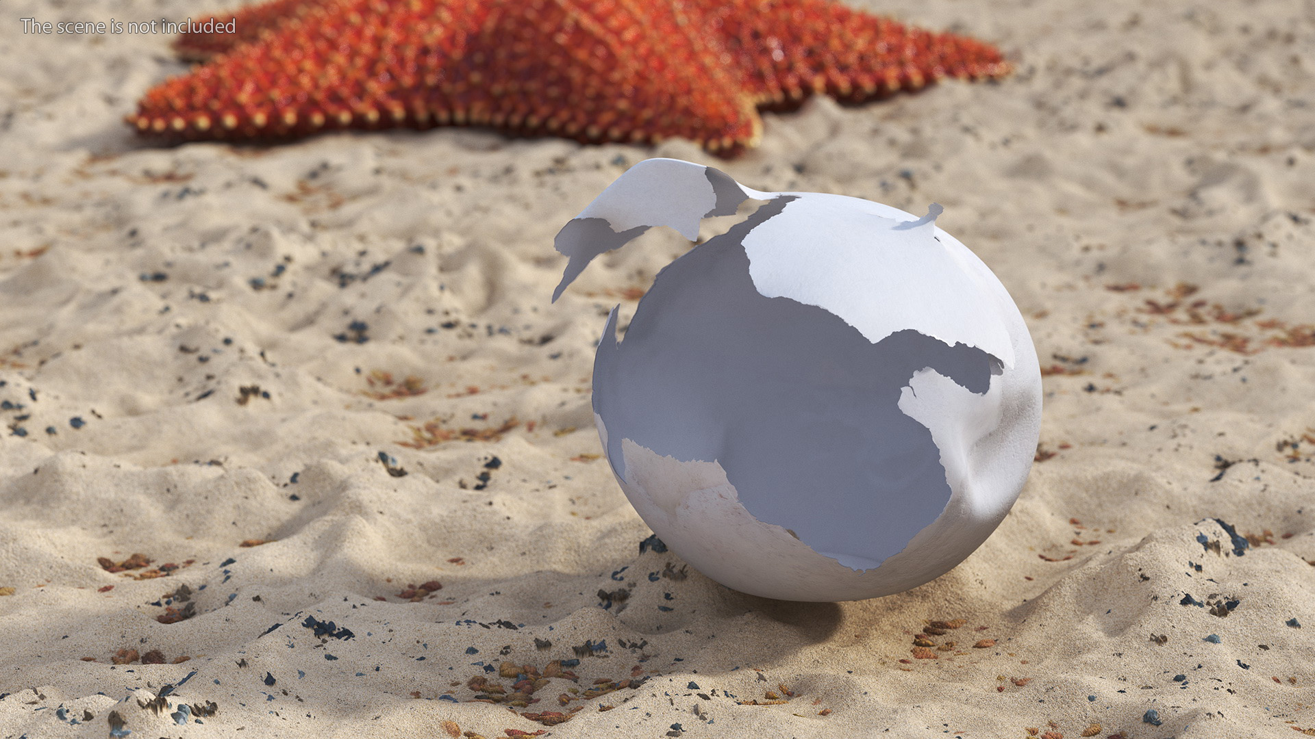 3D Cracked Turtle Egg model
