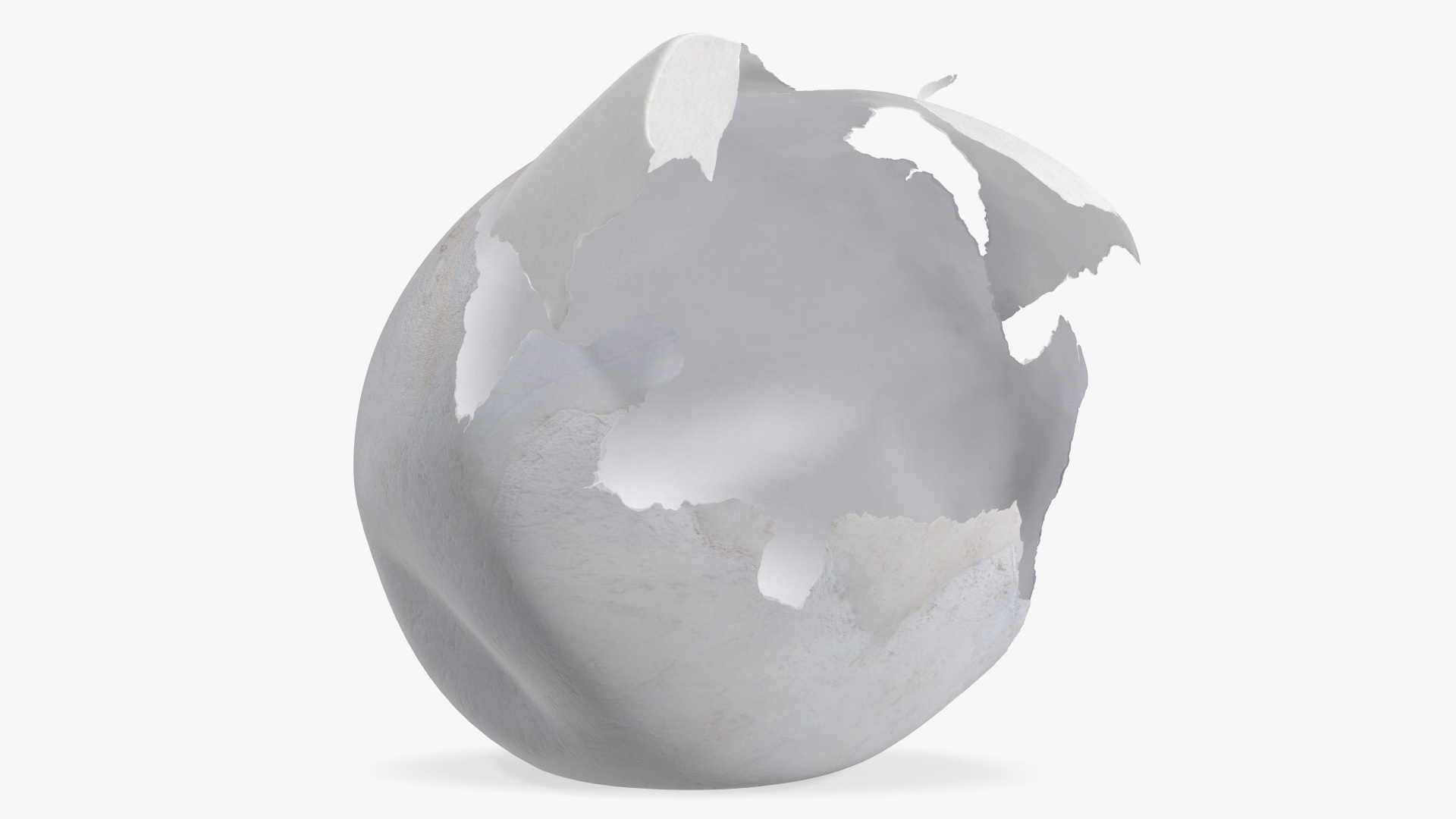 3D Cracked Turtle Egg model