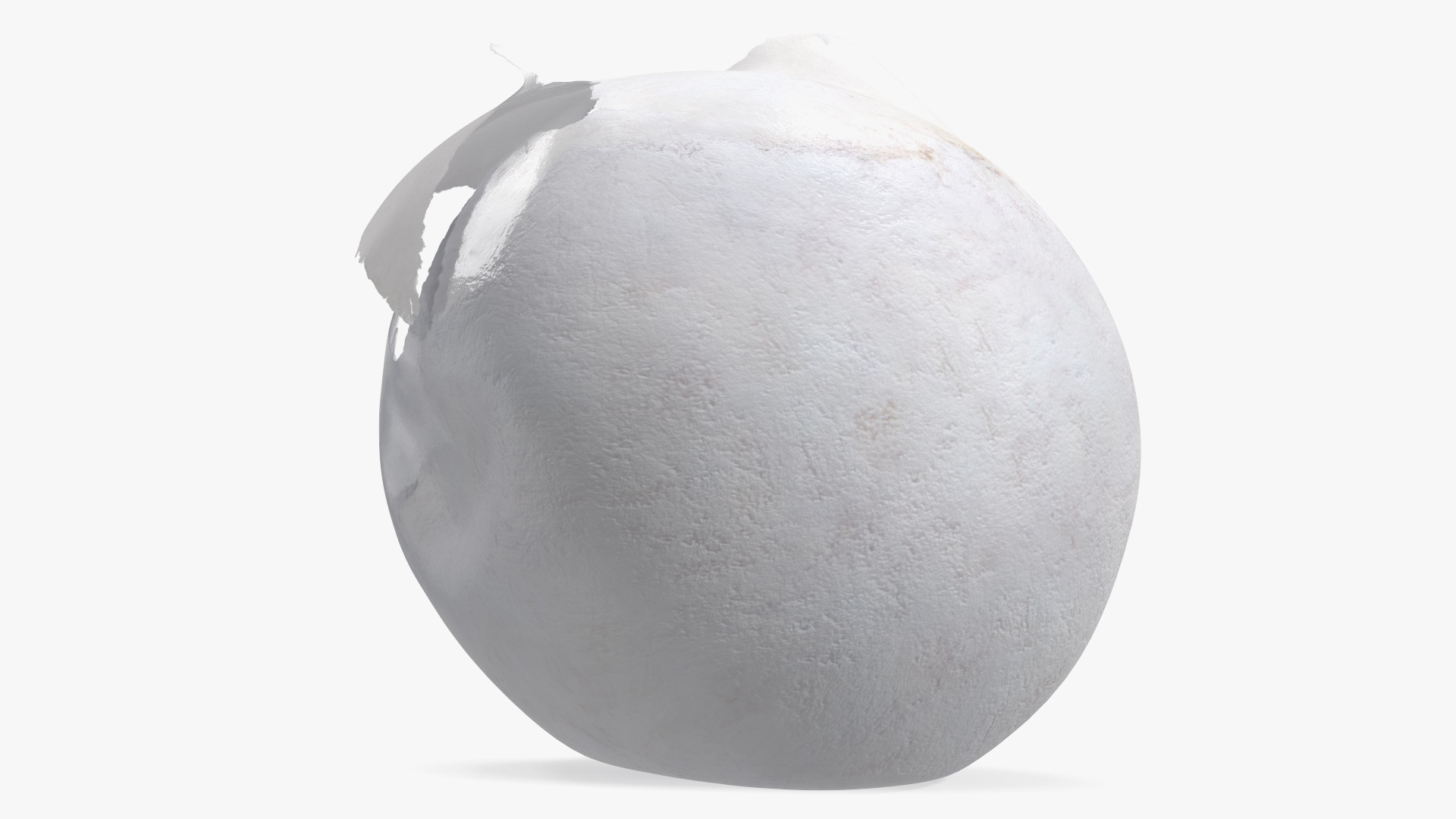 3D Cracked Turtle Egg model