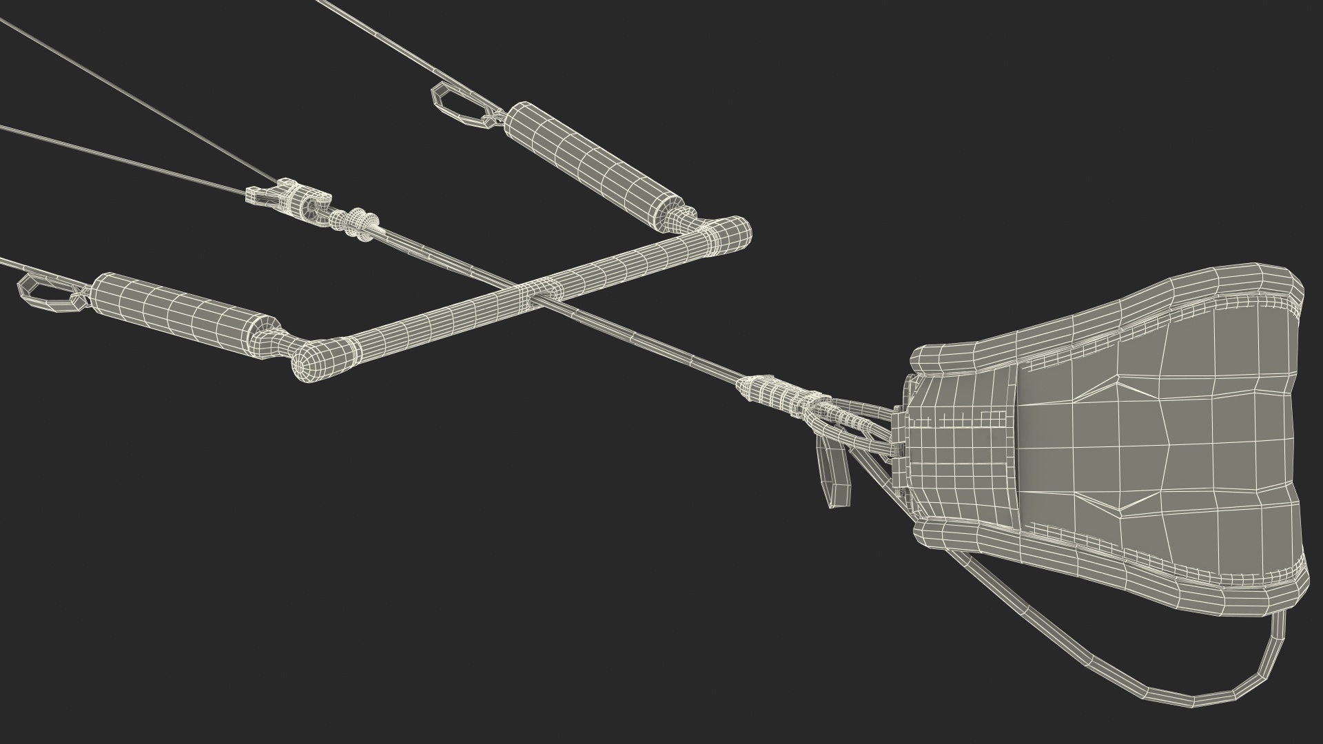 Slingshot Kite 3D model