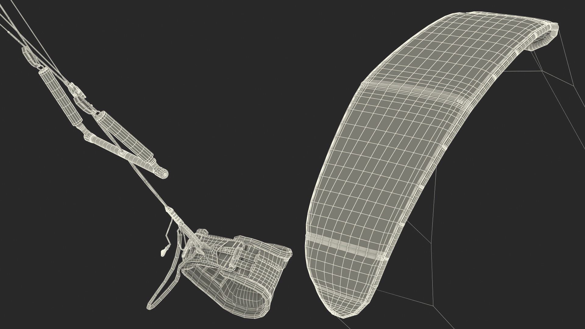 Slingshot Kite 3D model