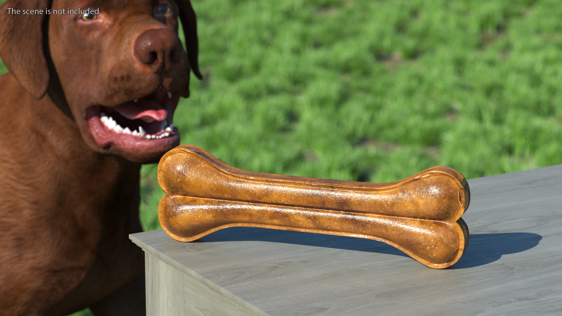 3D model Large Dog Bone Treat Dark
