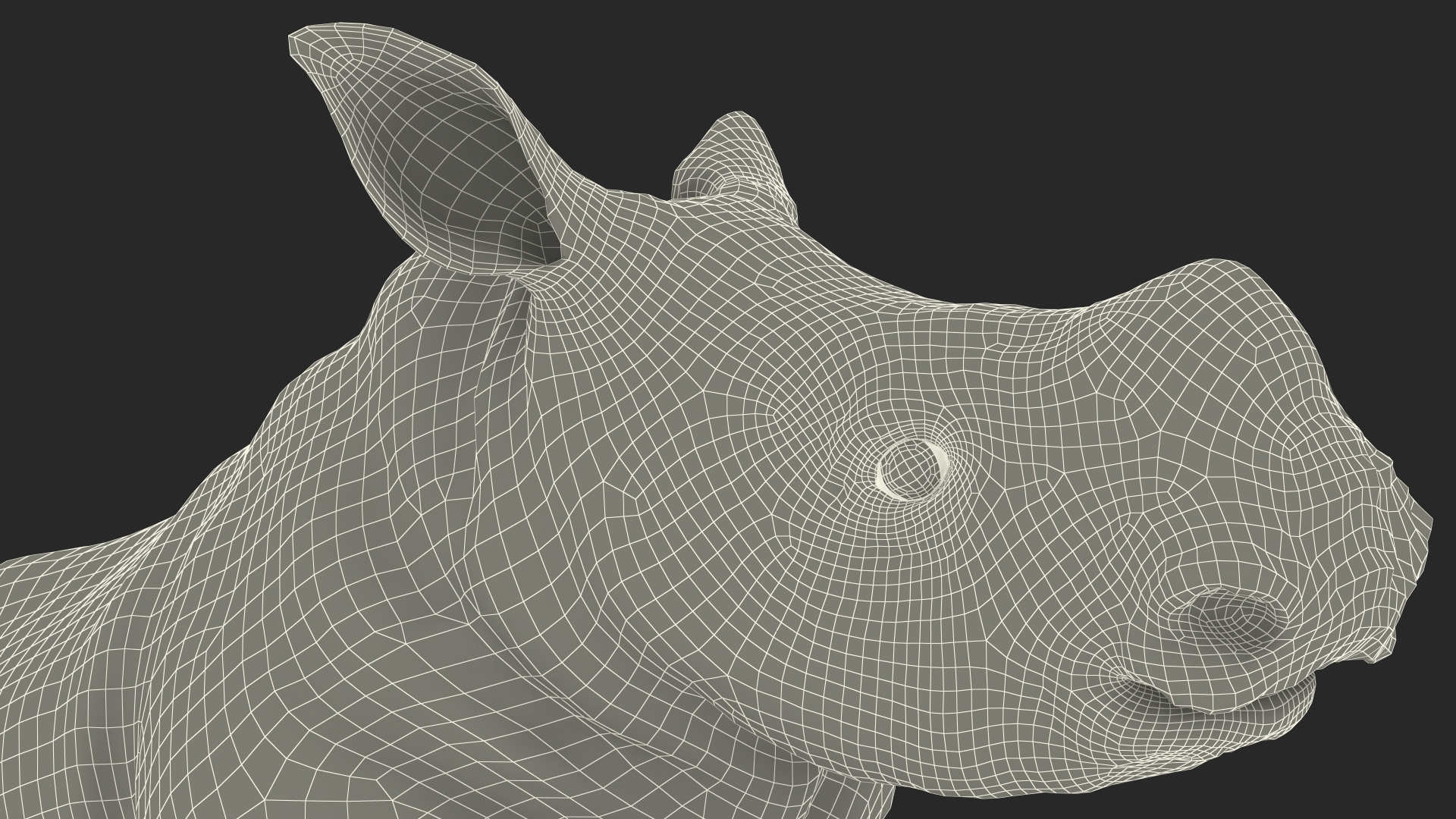 Baby Rhino Standing Pose 3D model