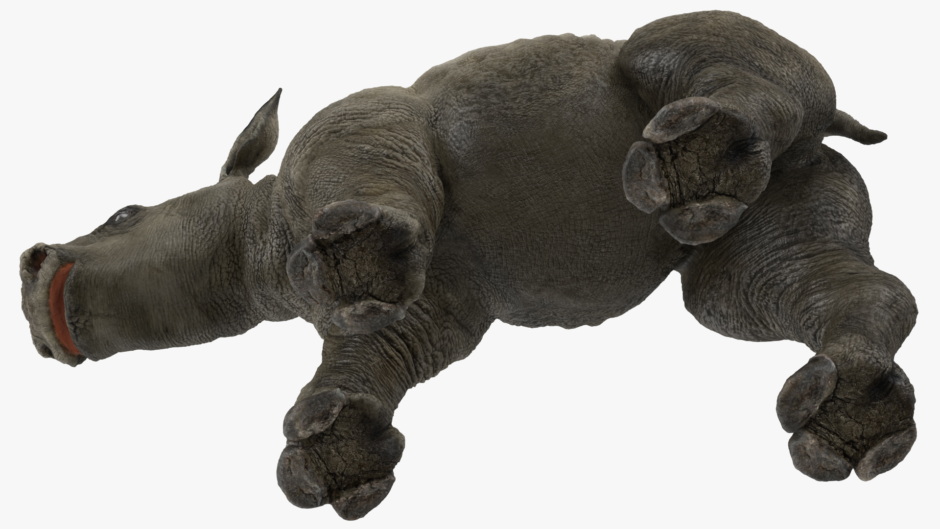 Baby Rhino Standing Pose 3D model