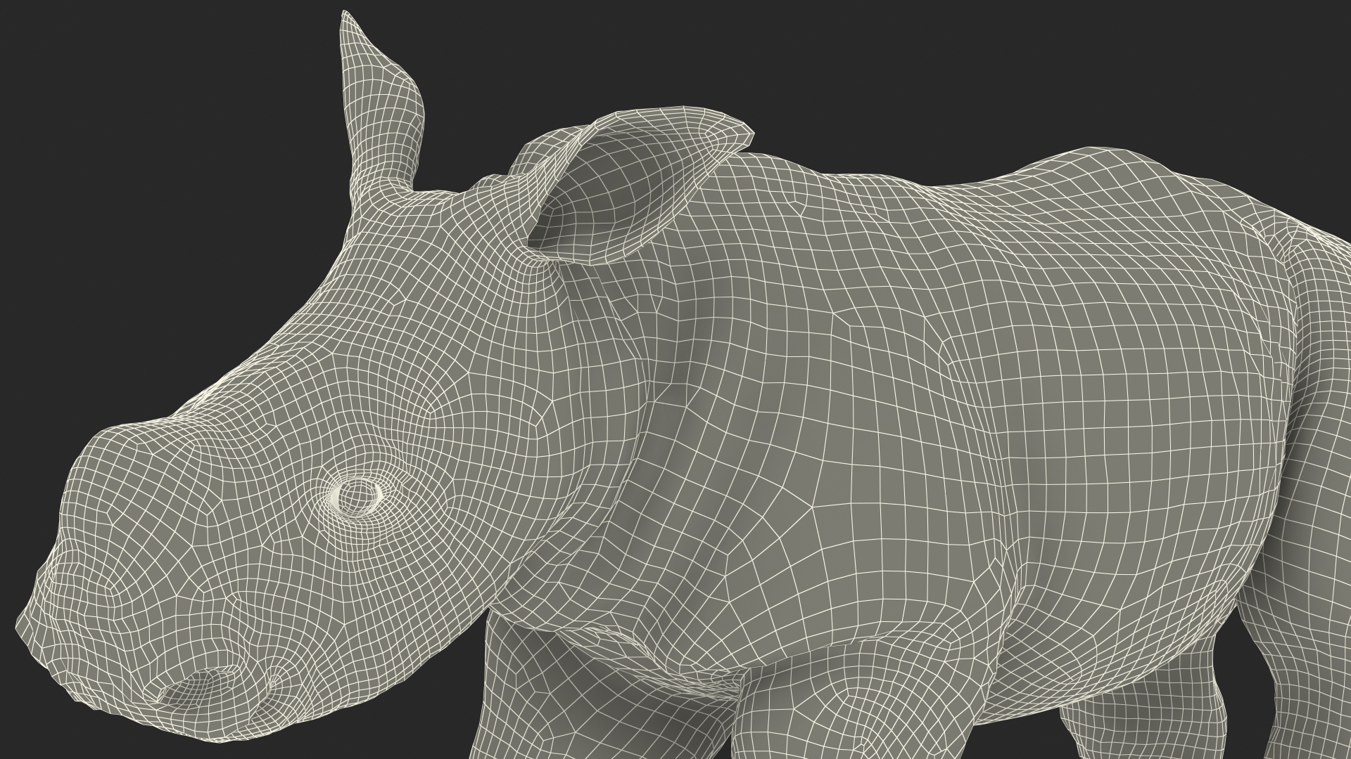 Baby Rhino Standing Pose 3D model