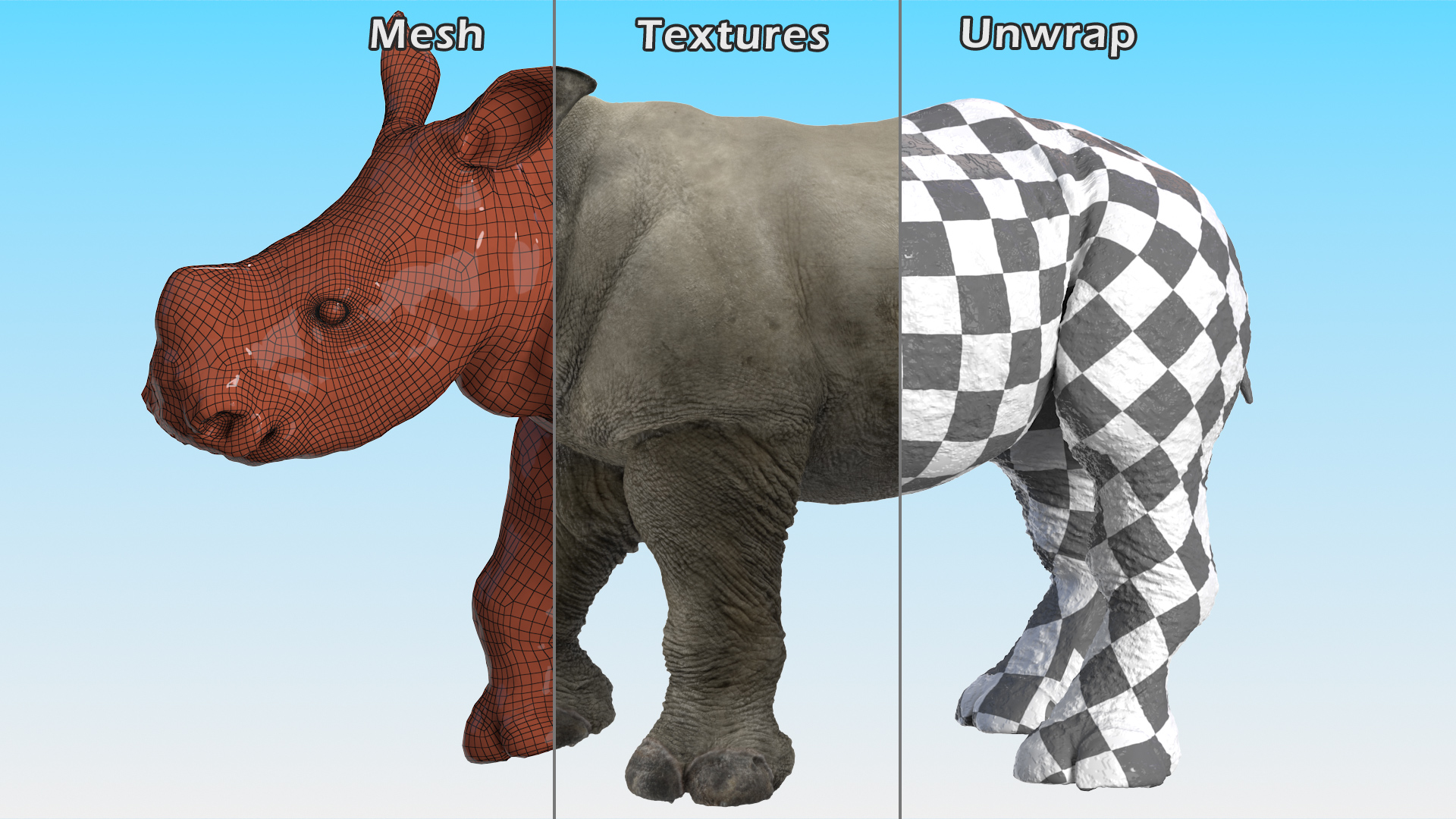 Baby Rhino Standing Pose 3D model