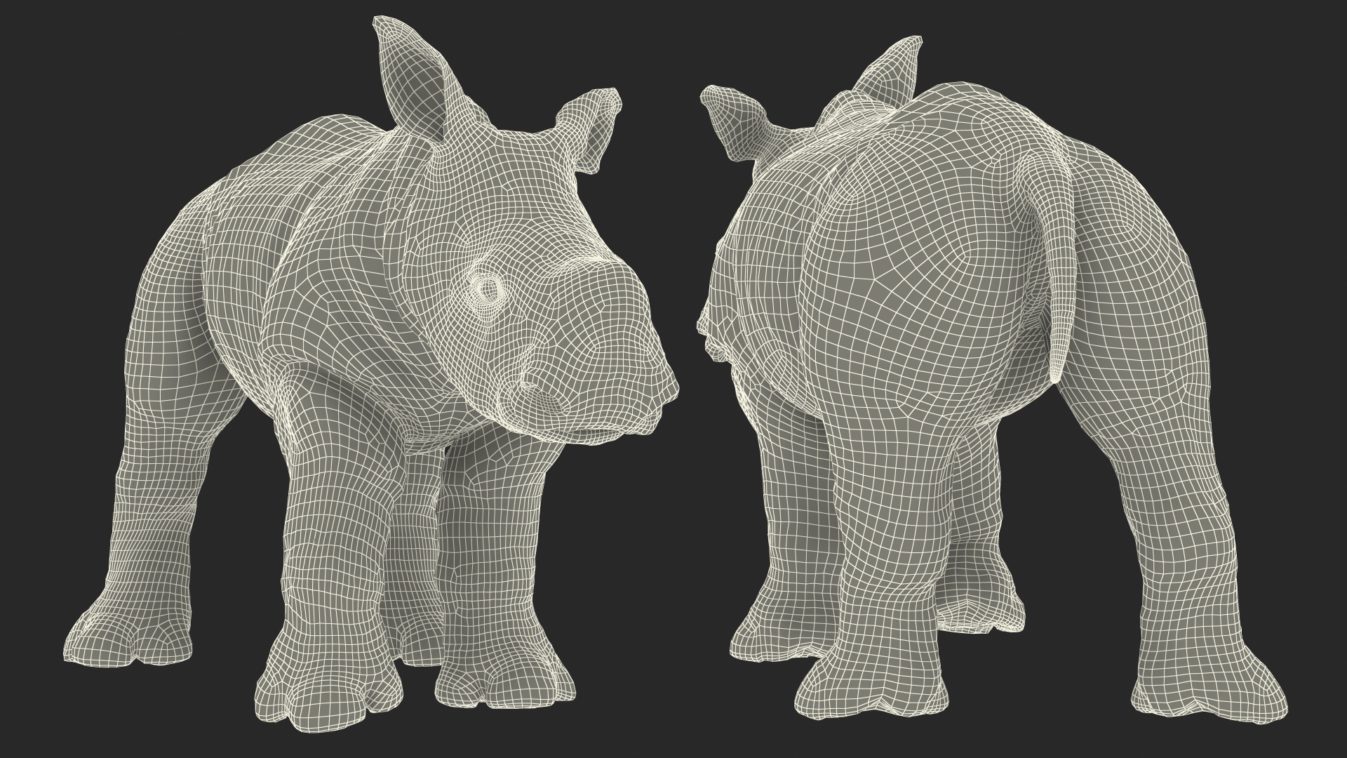Baby Rhino Standing Pose 3D model