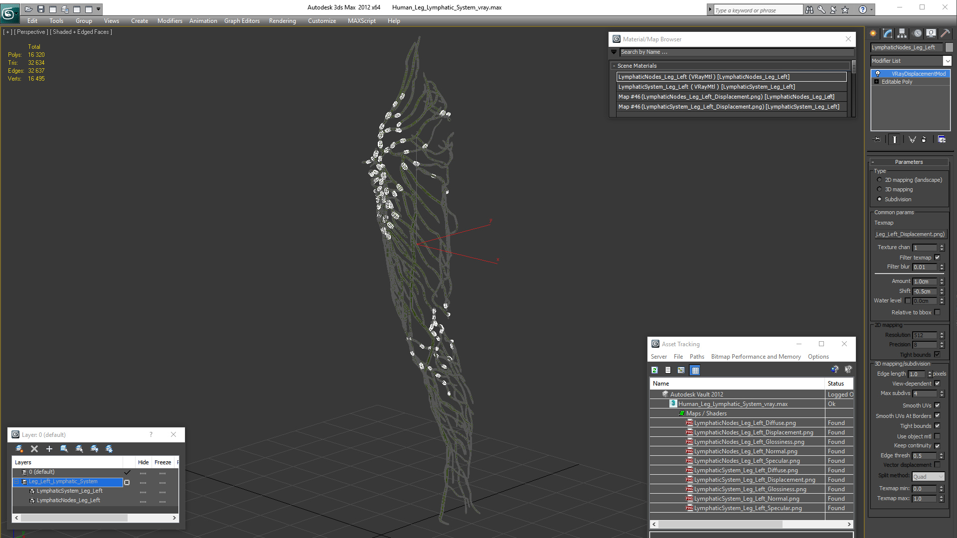 3D Human Leg Lymphatic System