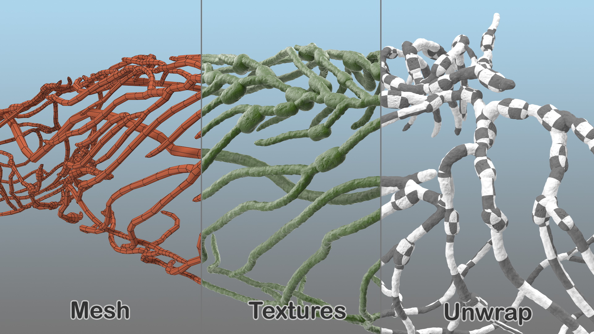 3D Human Leg Lymphatic System