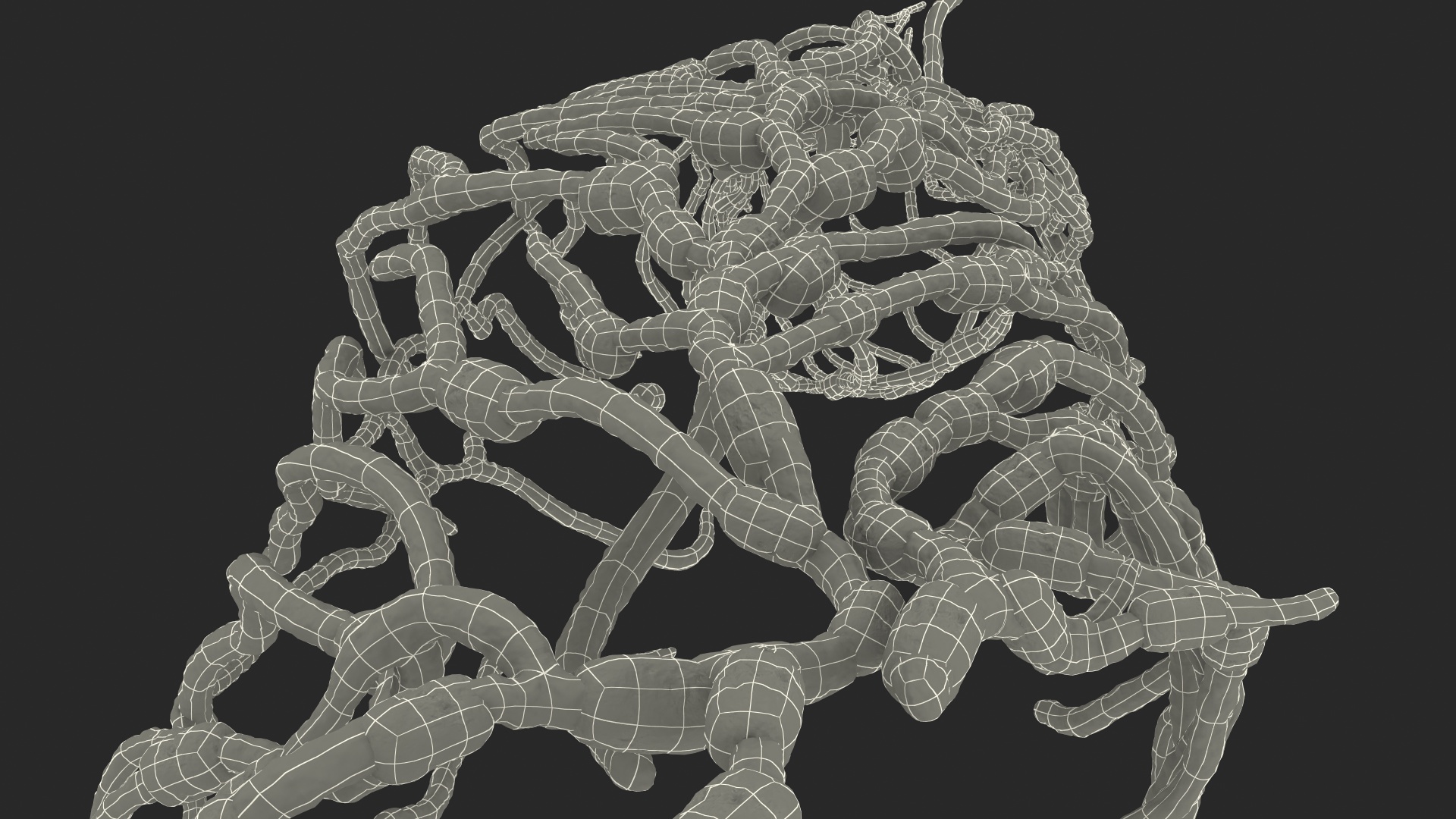 3D Human Leg Lymphatic System