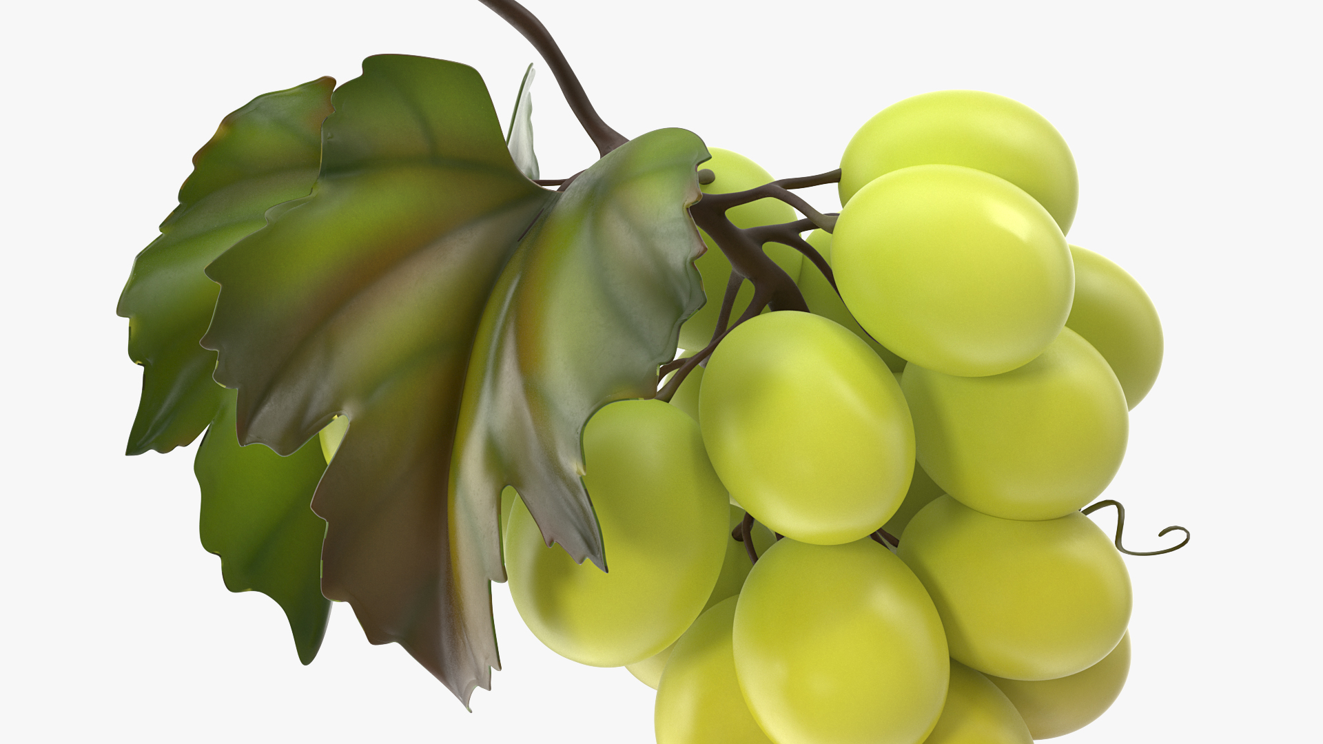 Bunch of Fresh Green Grapes 3D