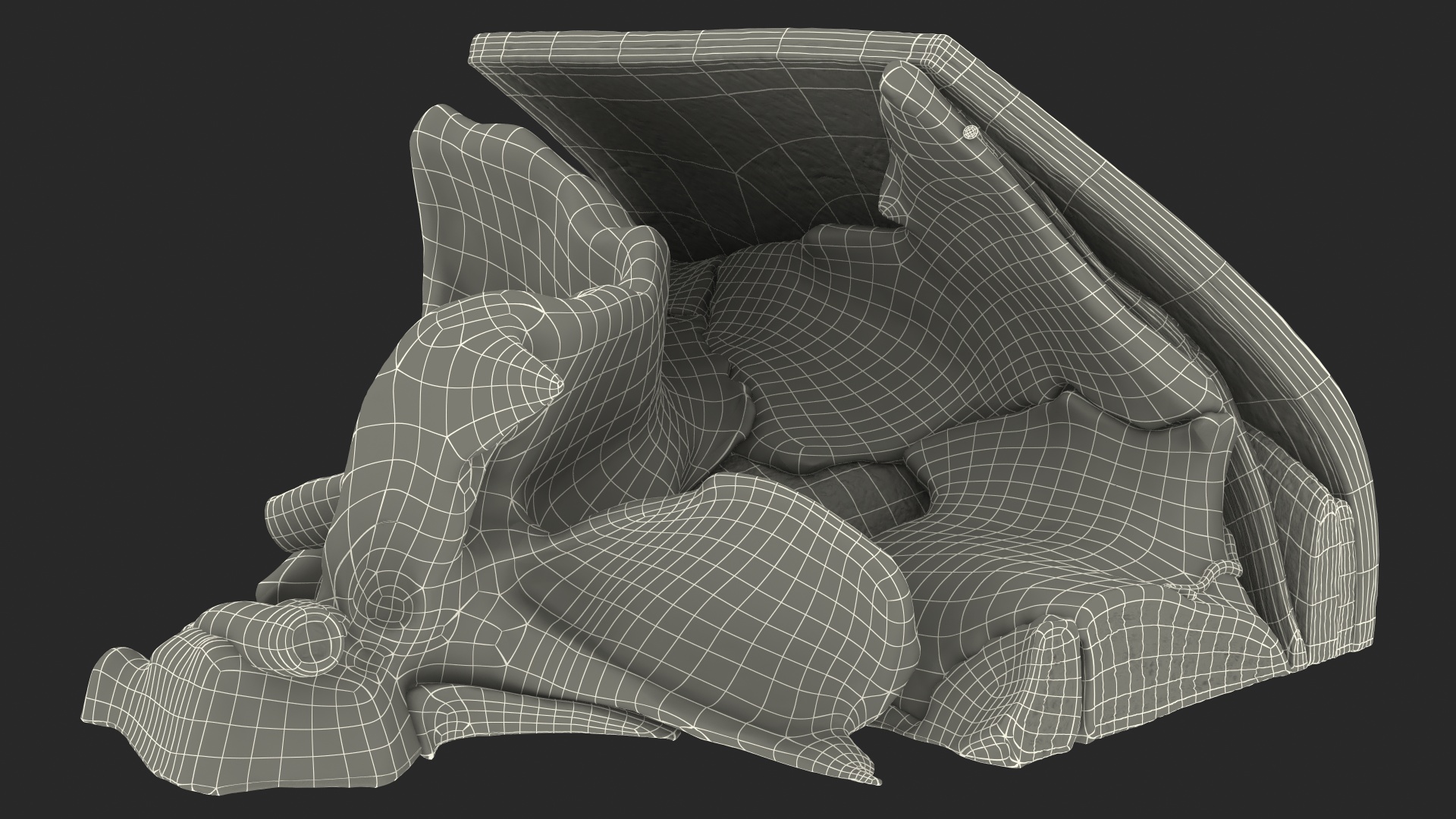 3D Eye Anatomy Cross-Section Right