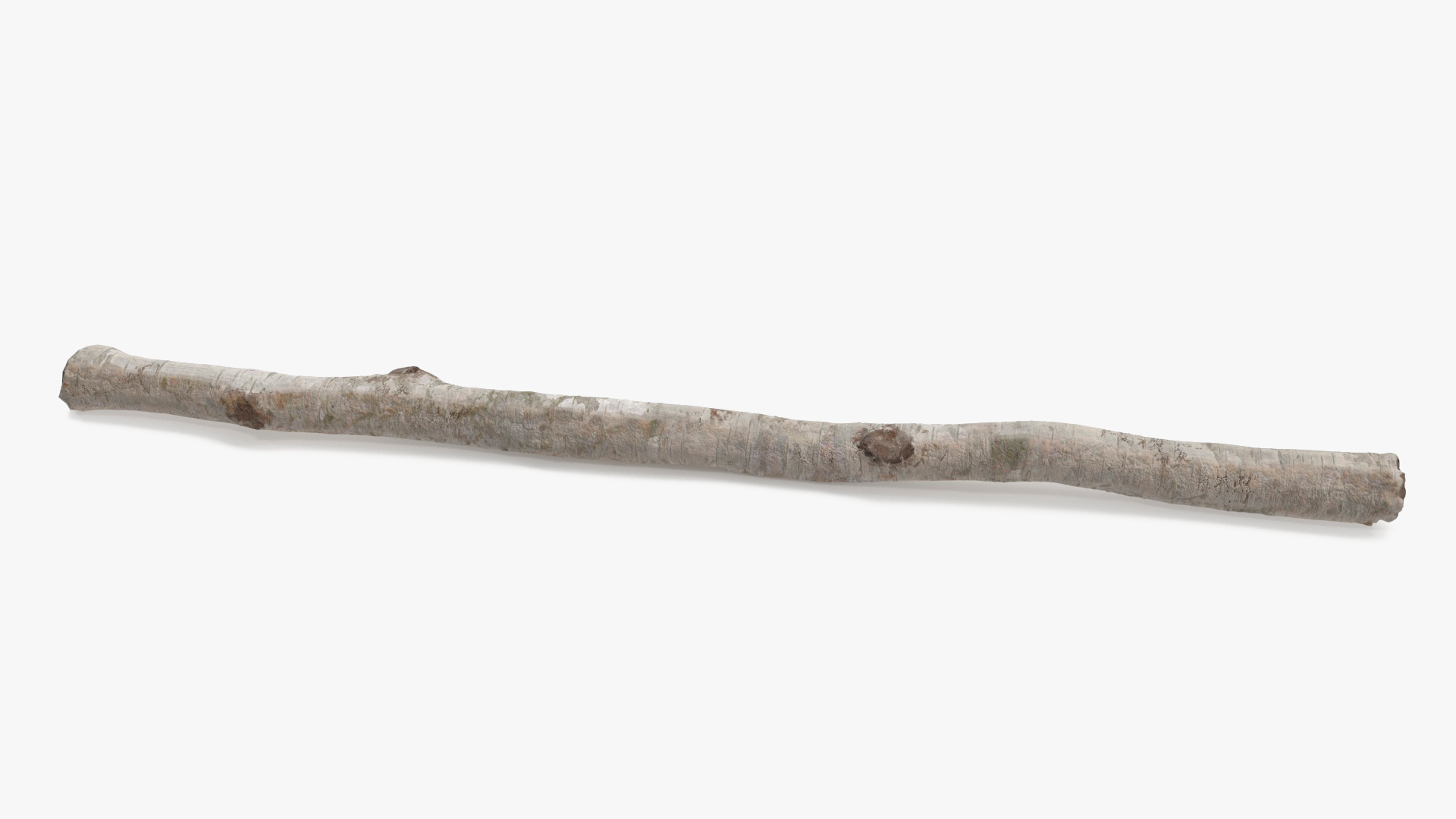 3D White Birch Poles Set