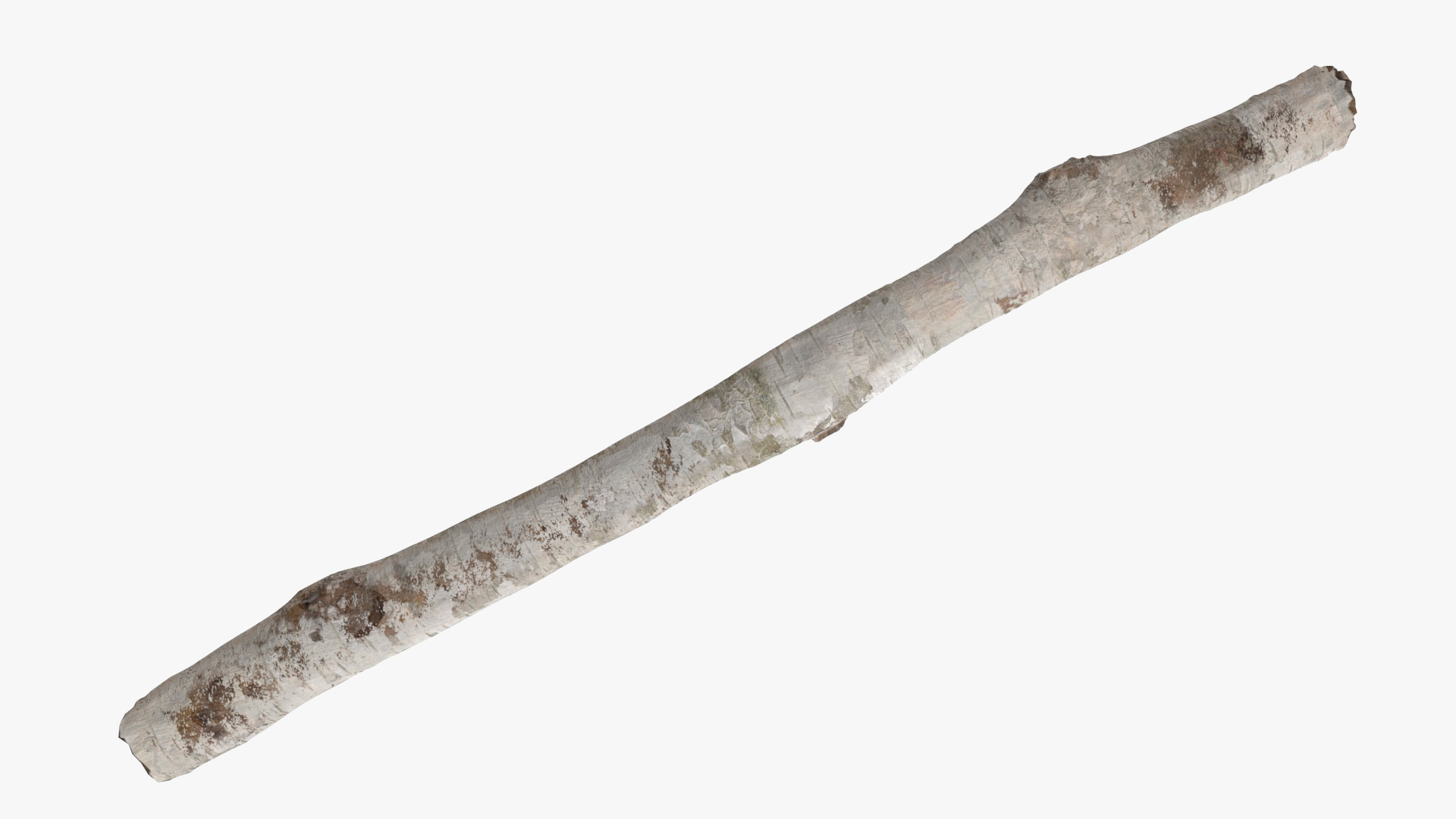 3D White Birch Poles Set